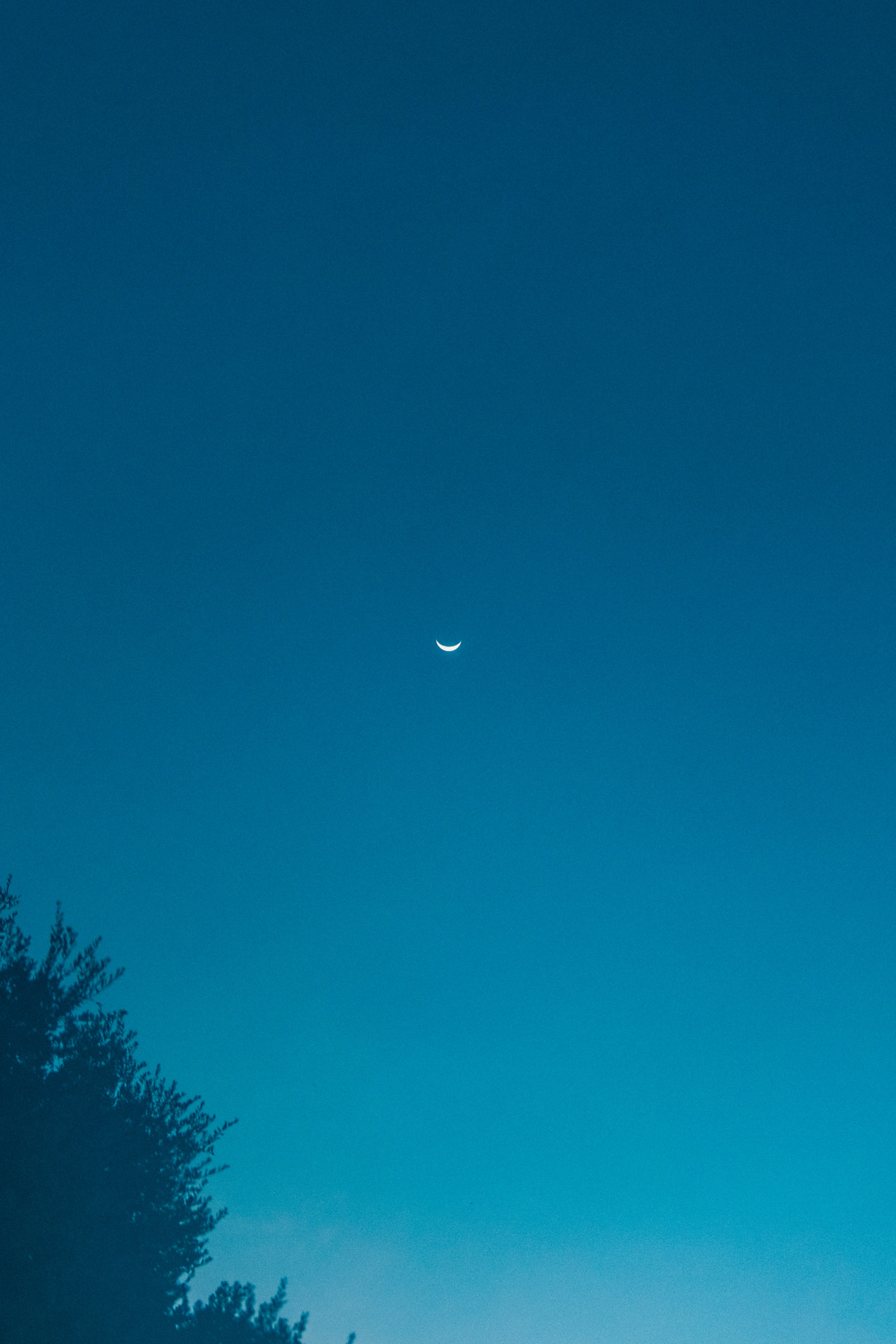 Photo by andrew_creative