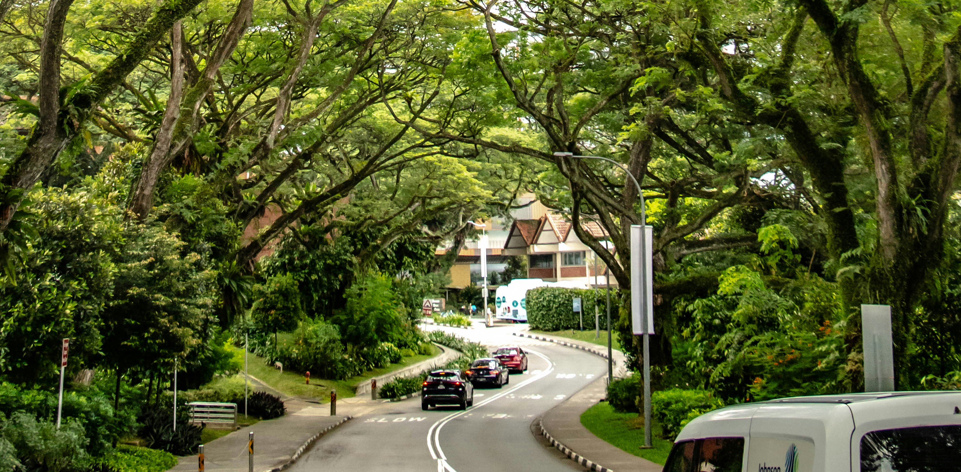 Photo by maro_of_sengu