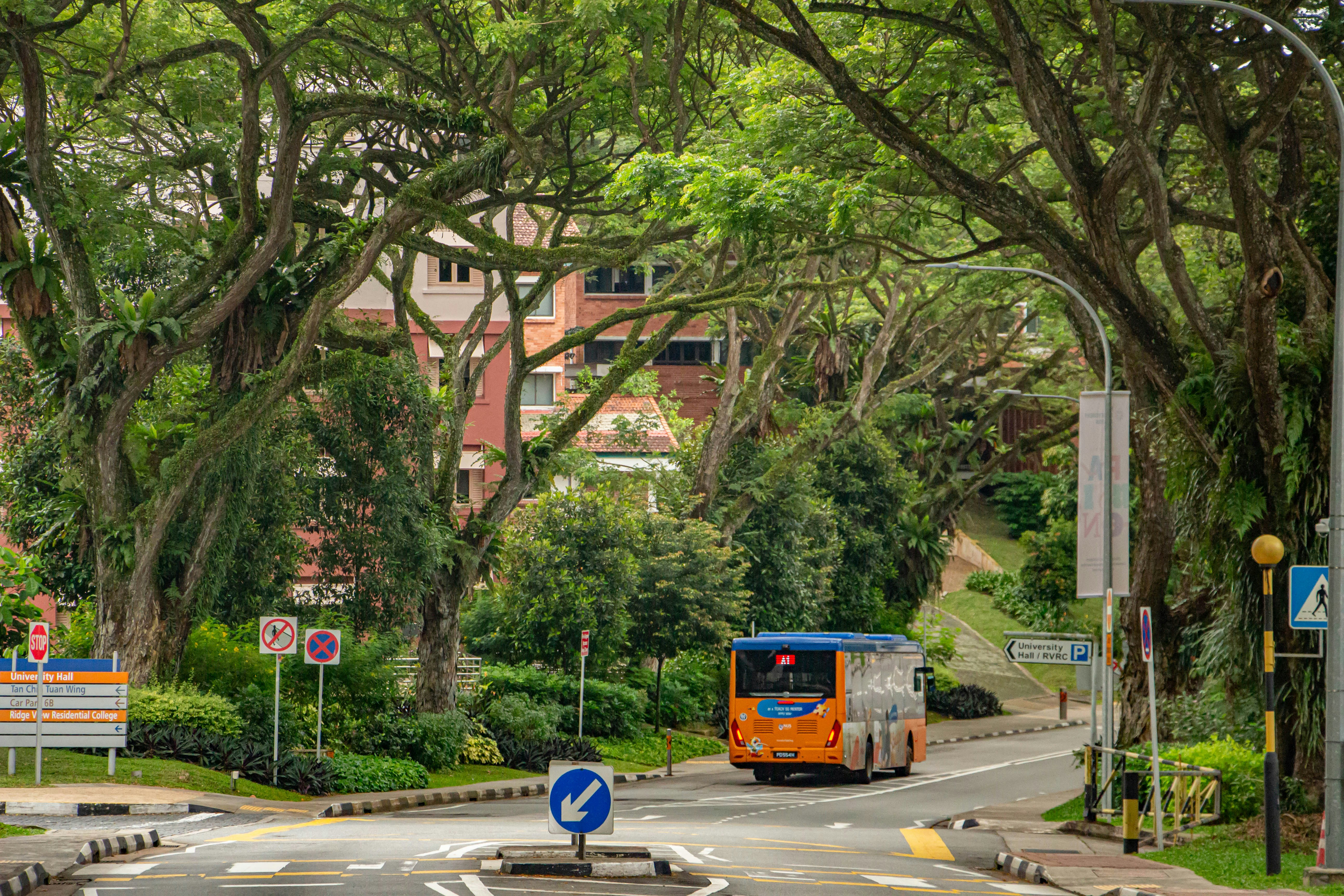 Photo by maro_of_sengu