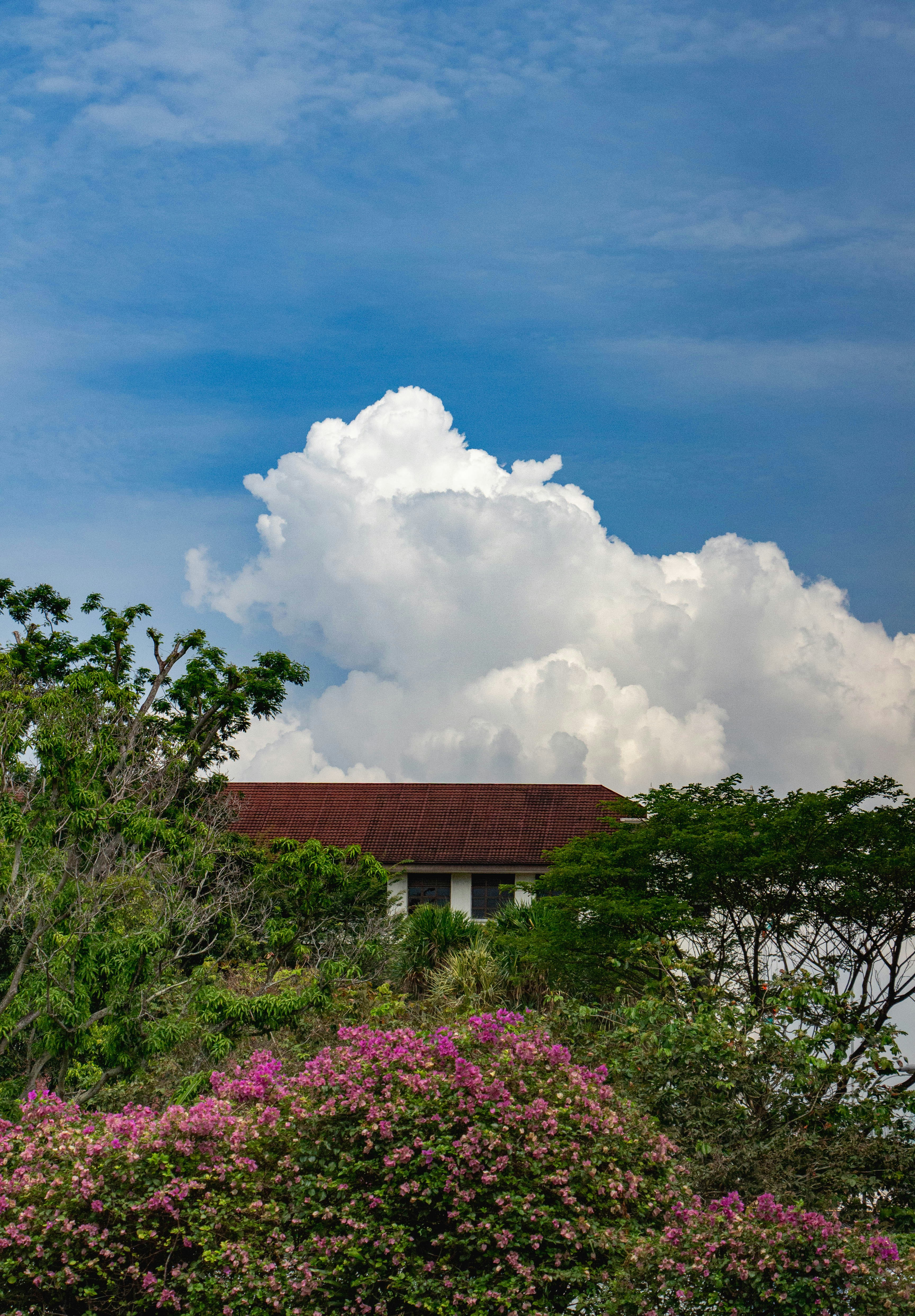 Photo by maro_of_sengu