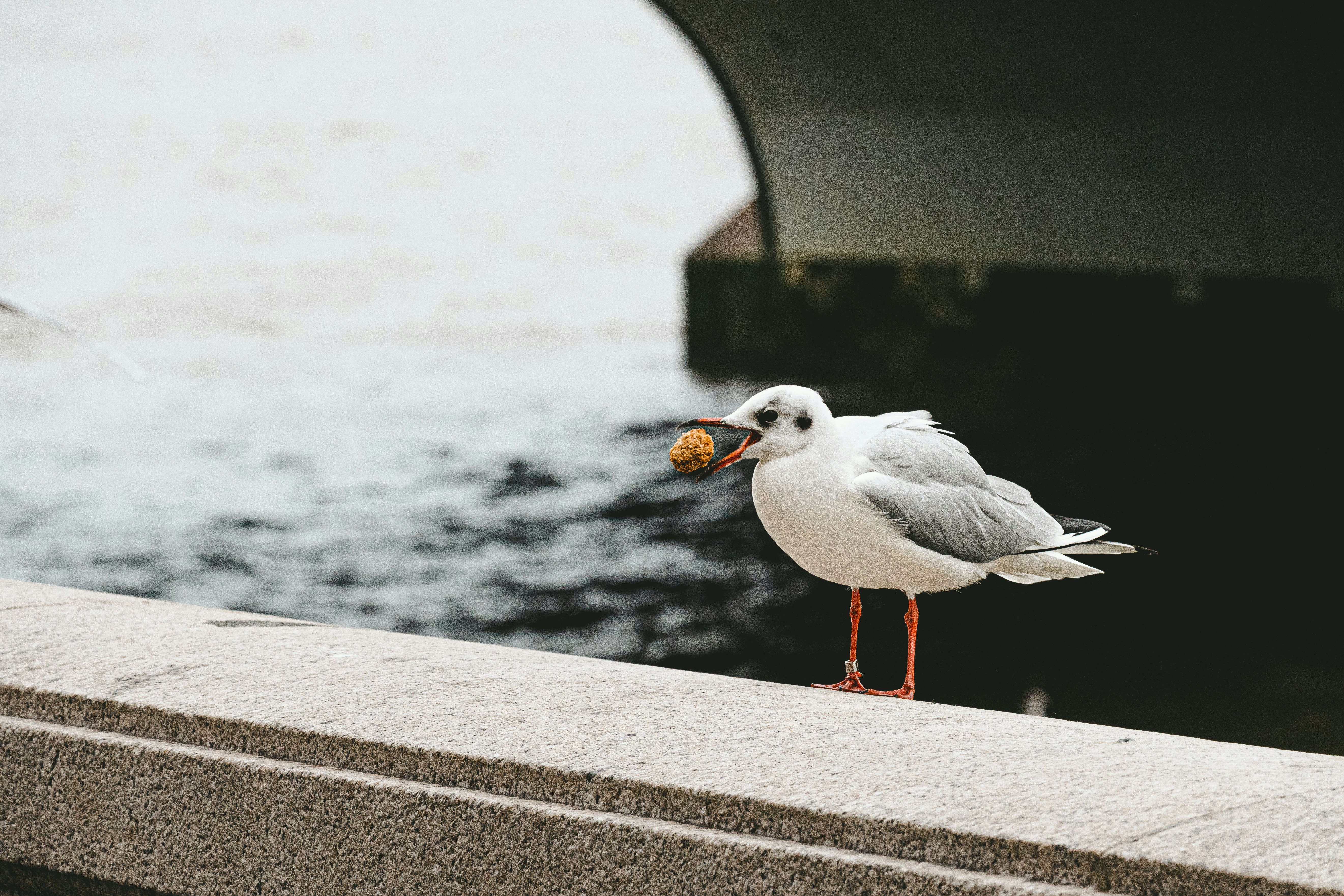 Photo by nathan_wong