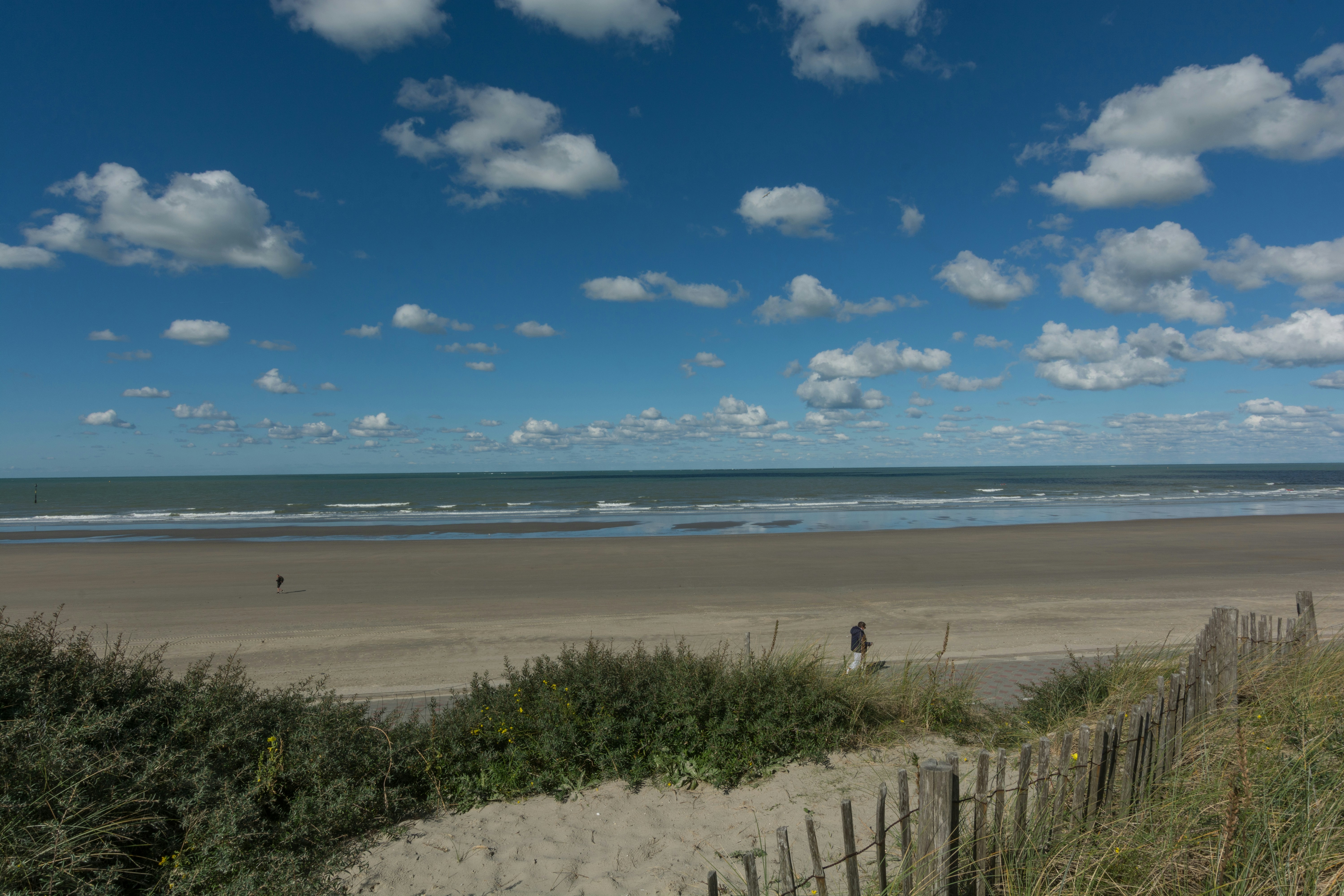 Photo by instantphotos