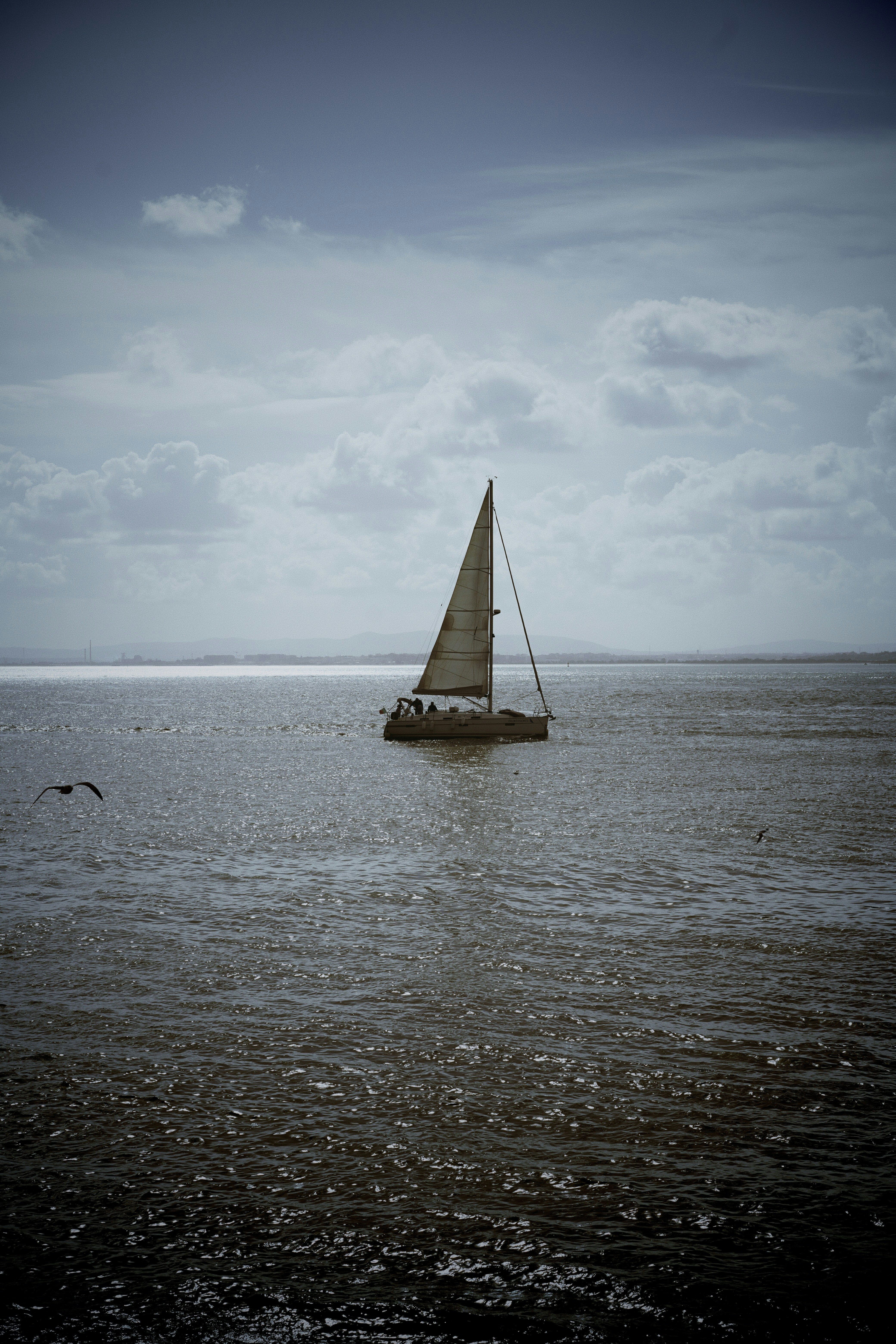 A sailboat in the middle of a body of water