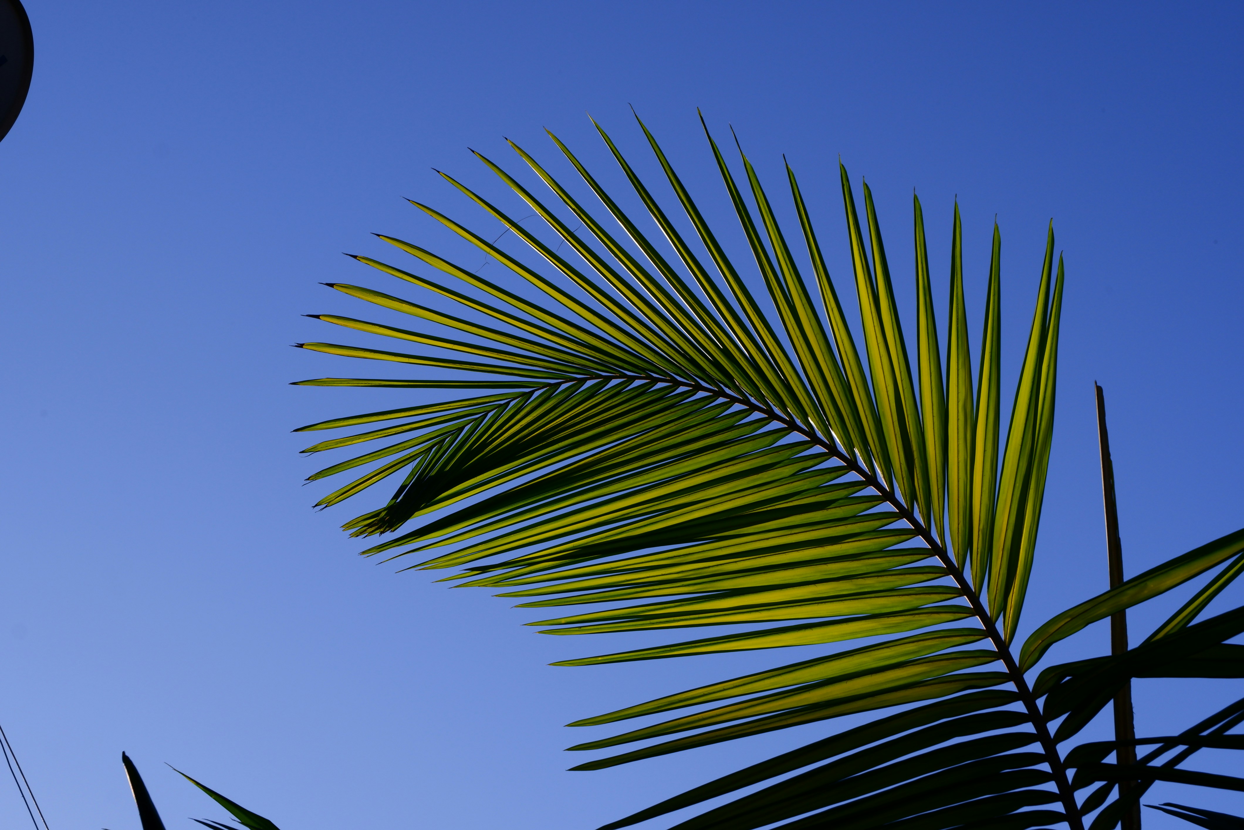 Photo by carlostoigo