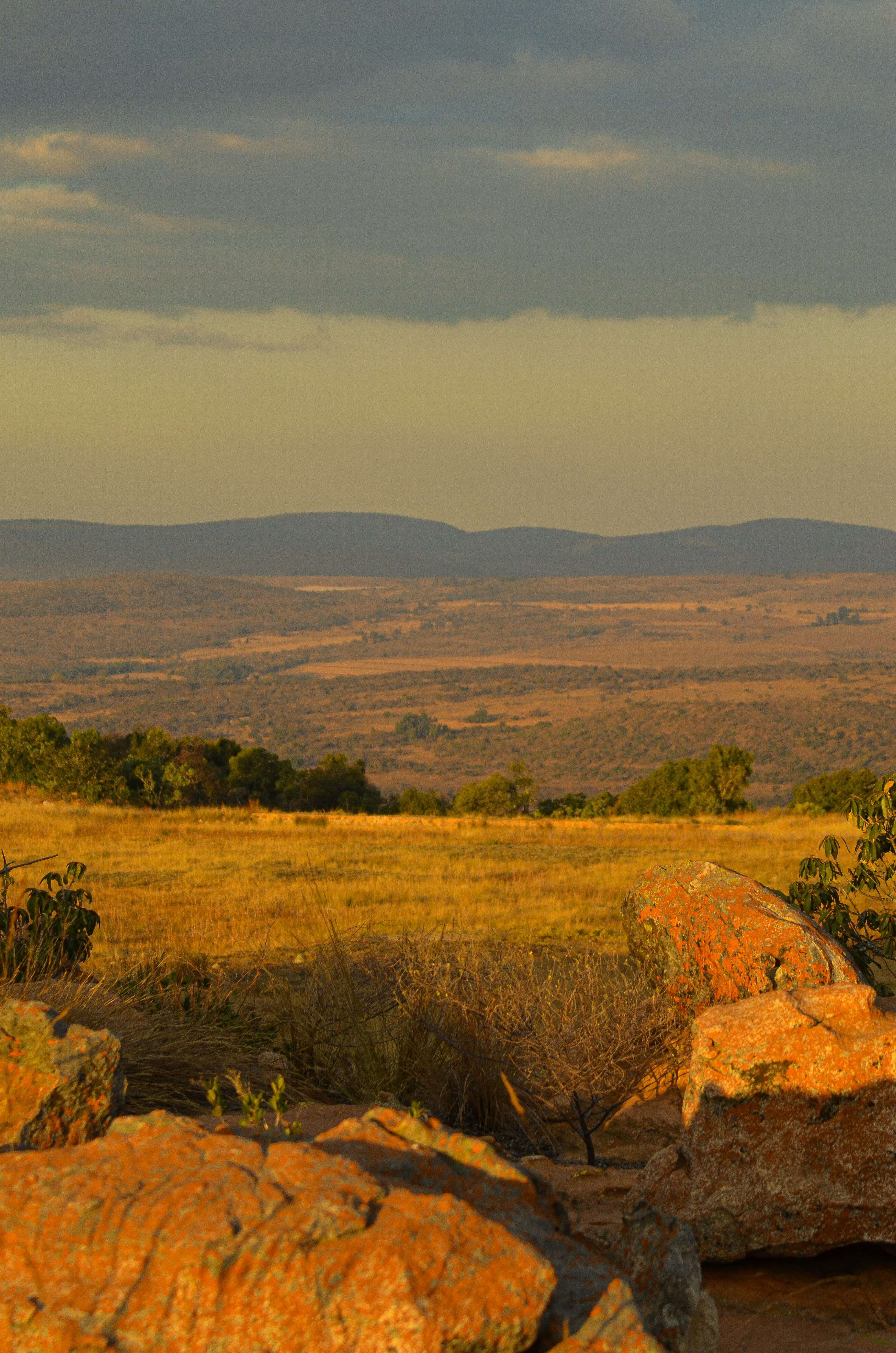 Vast American plains landscape at golden hour