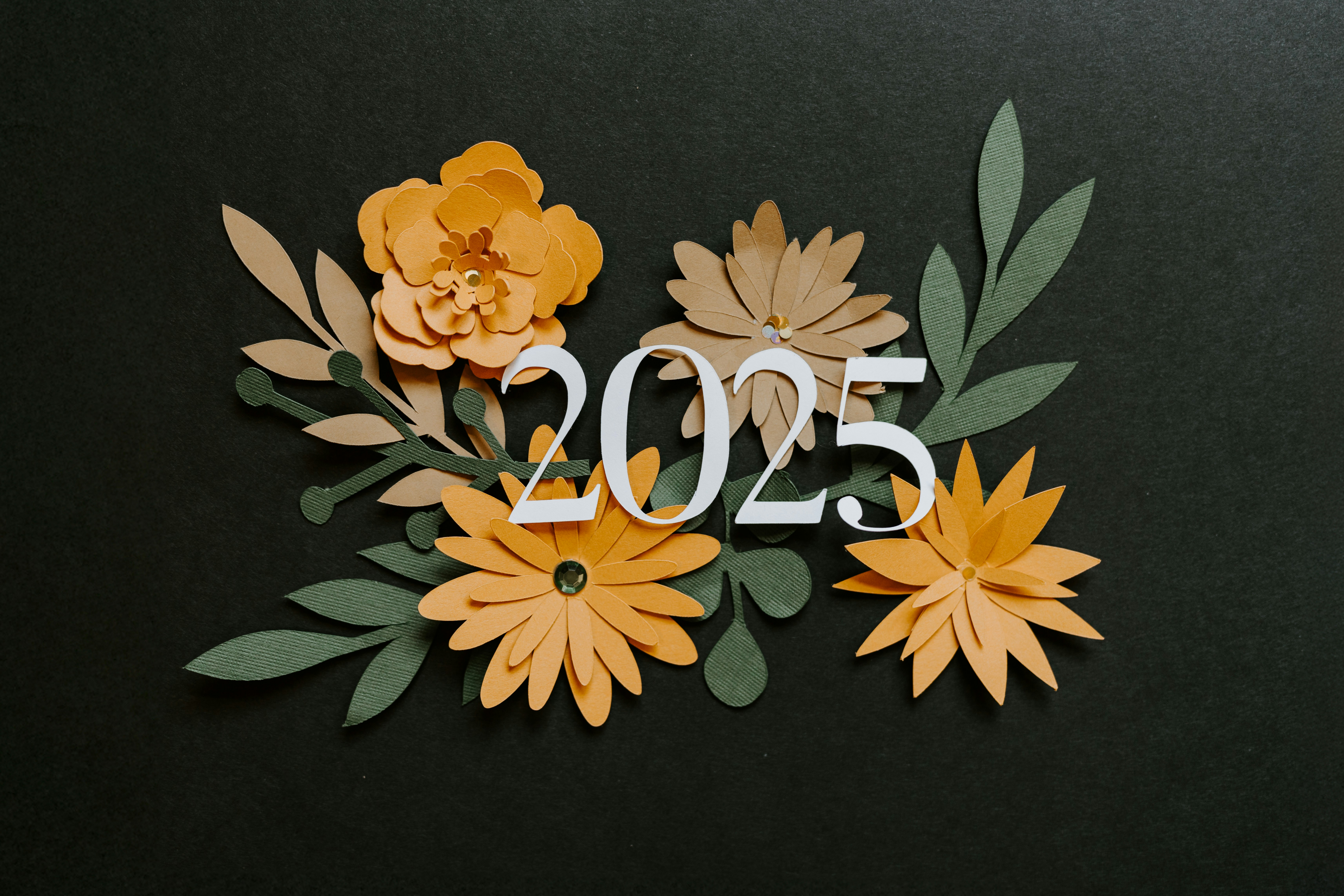 Year 2025 Overview