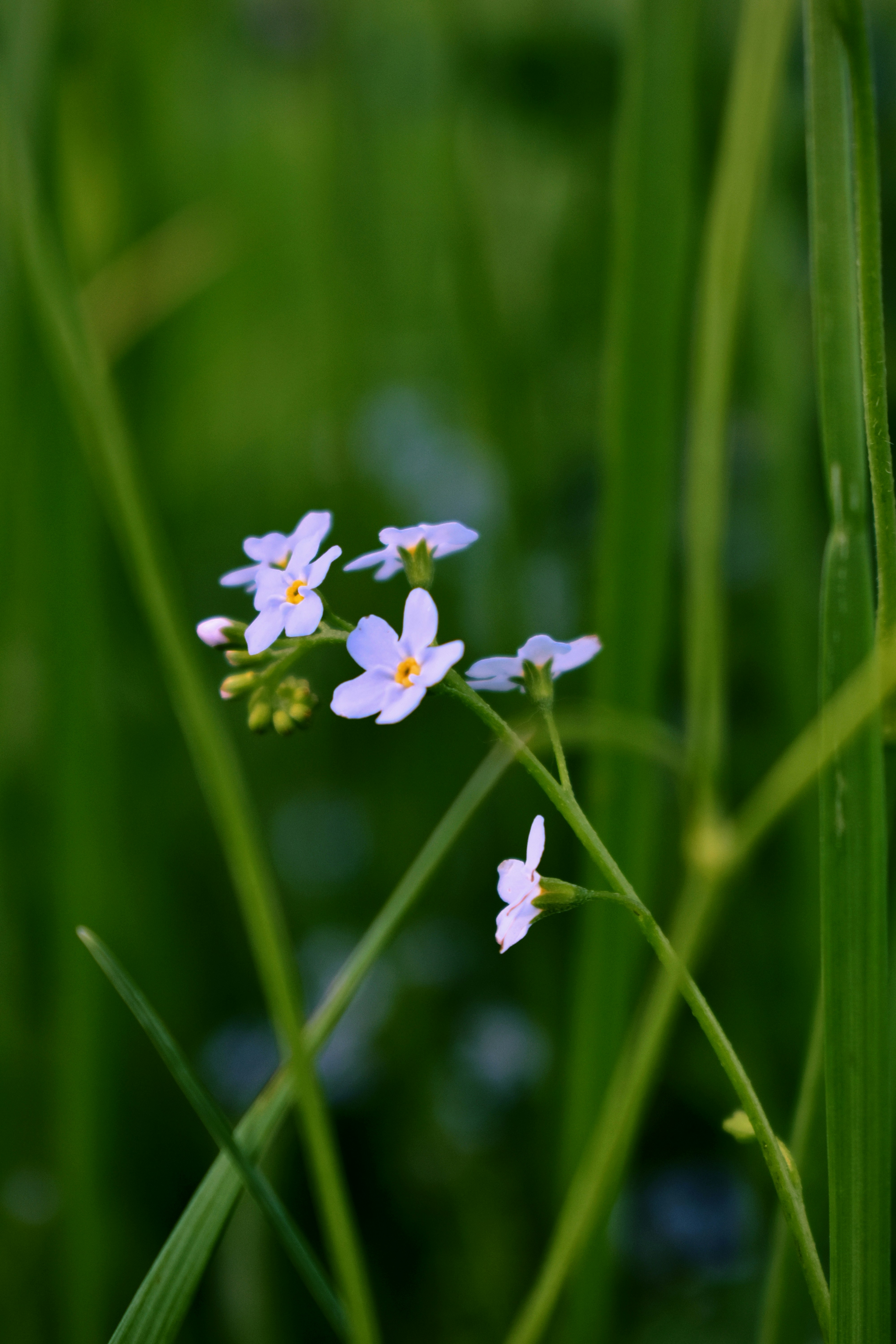 Photo by polina_grishma