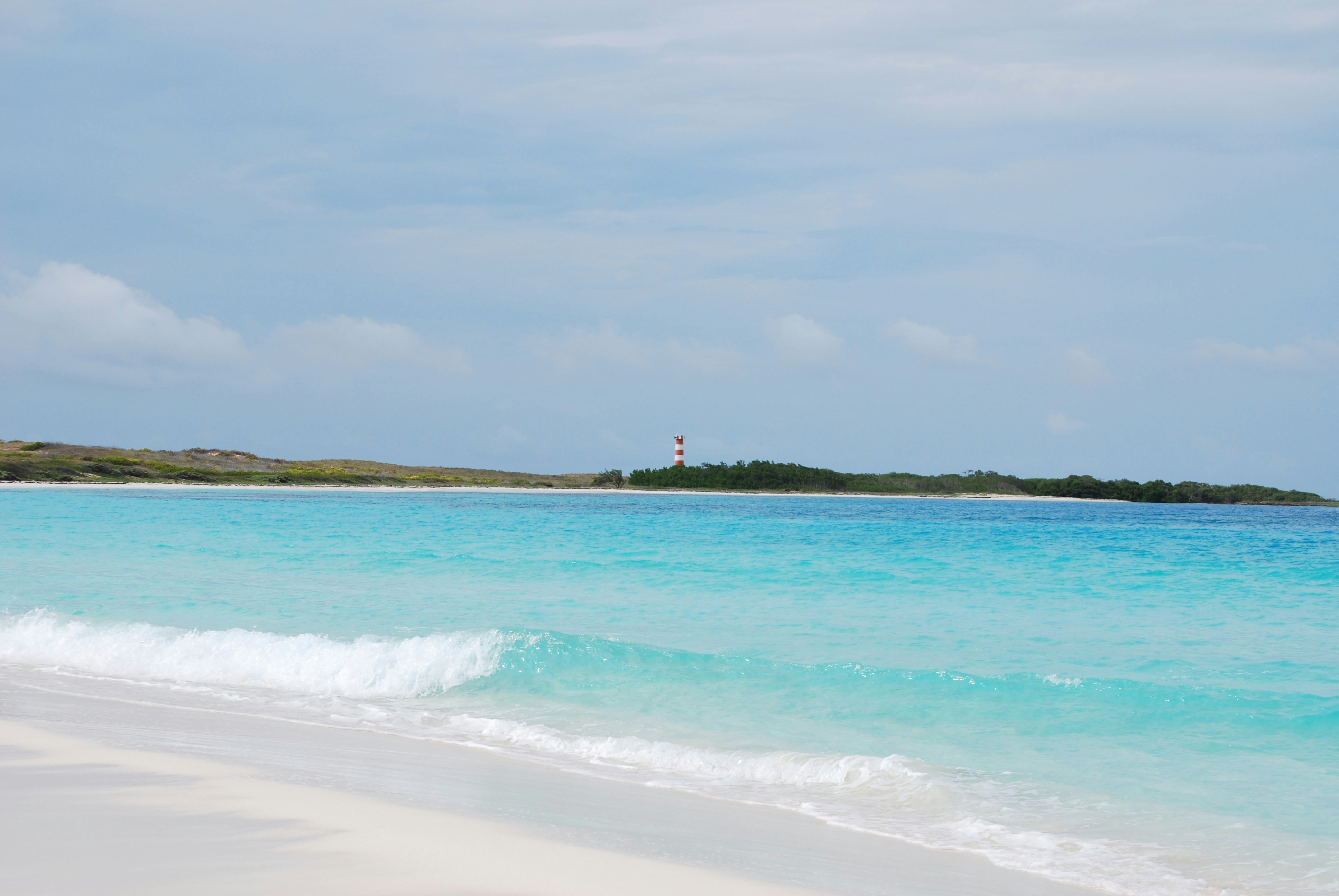 Photo by legallyguaricho