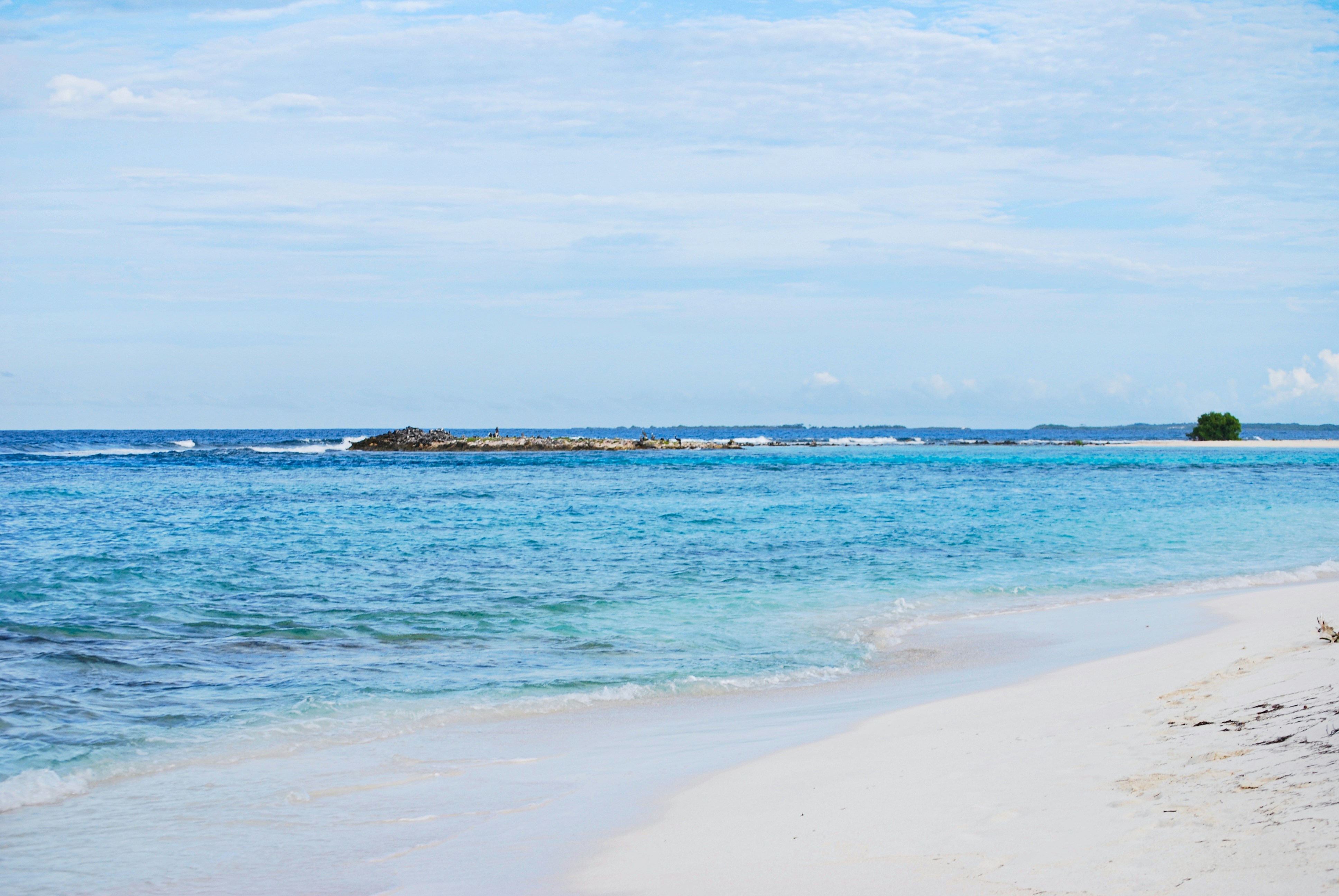 Photo by legallyguaricho