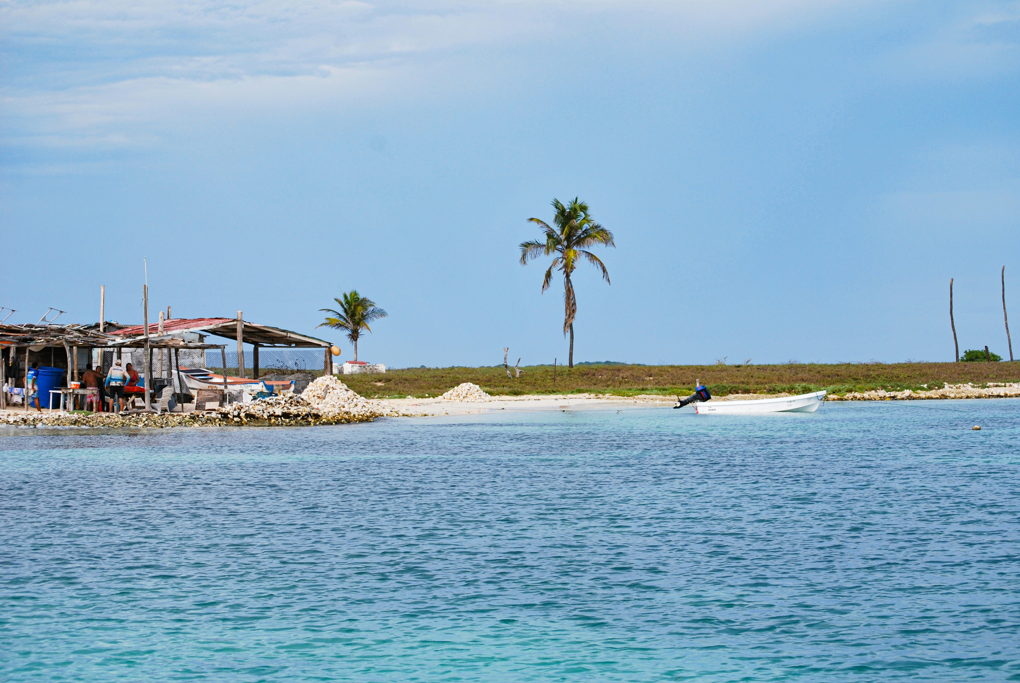 Photo by legallyguaricho