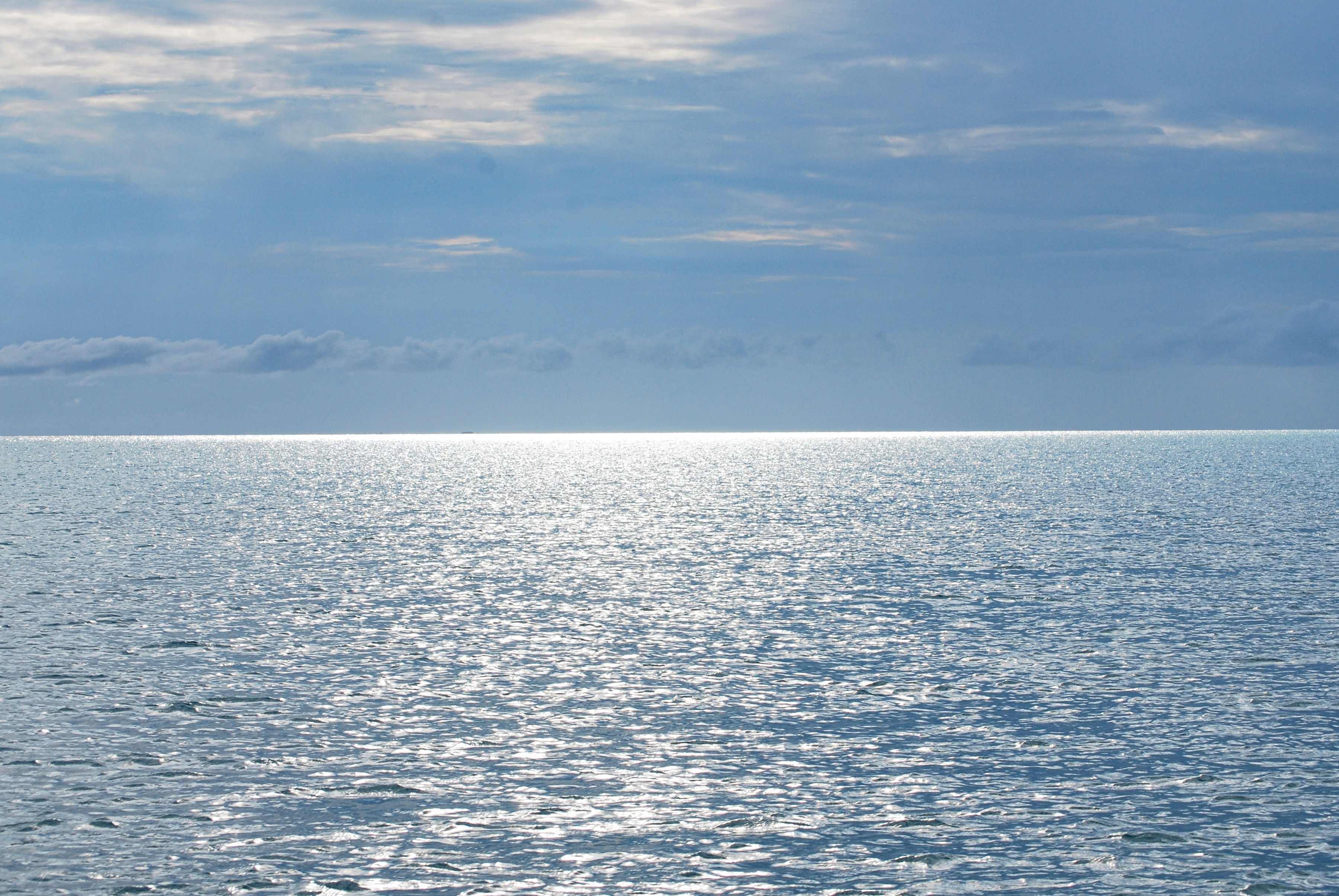 Photo by legallyguaricho