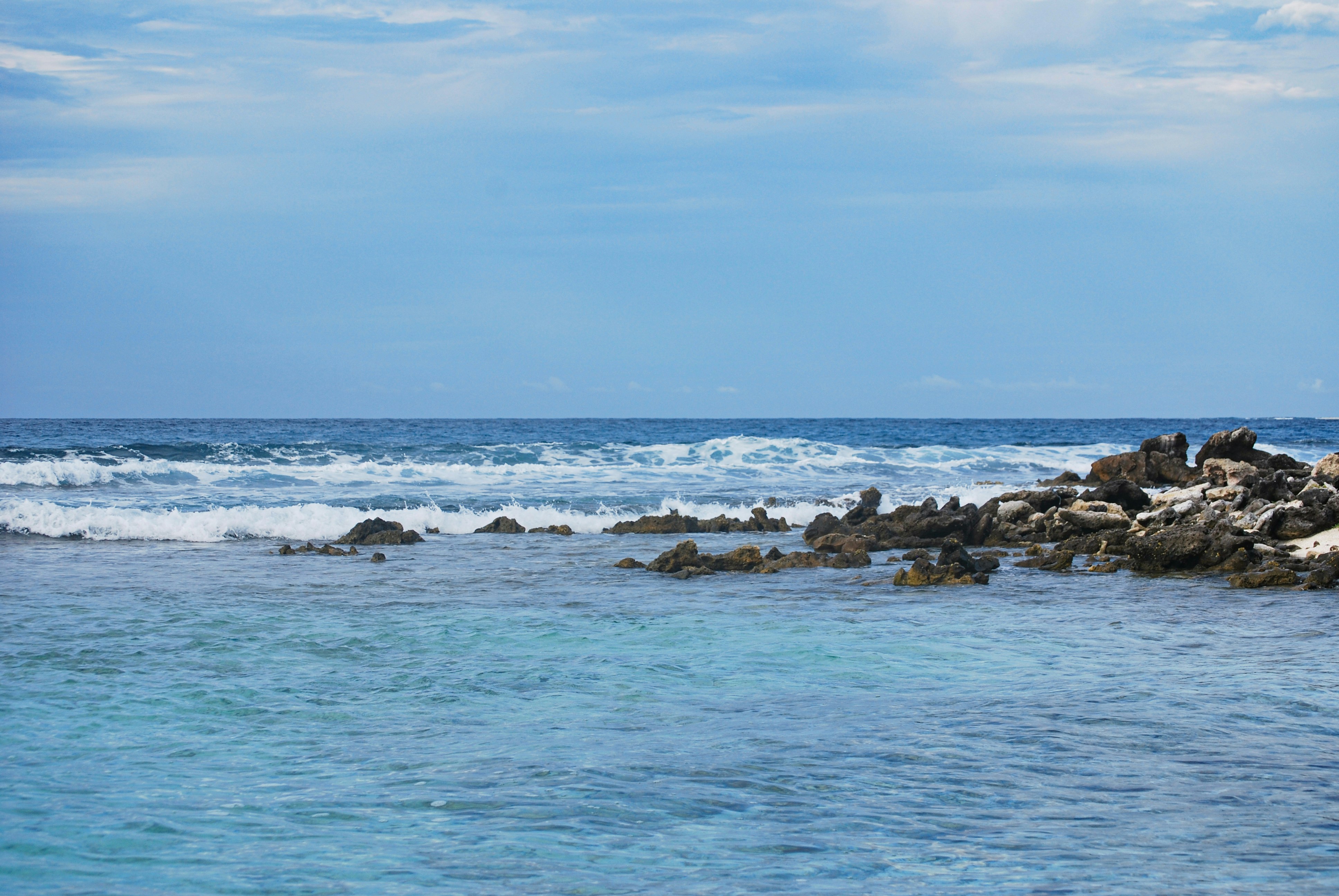 Photo by legallyguaricho