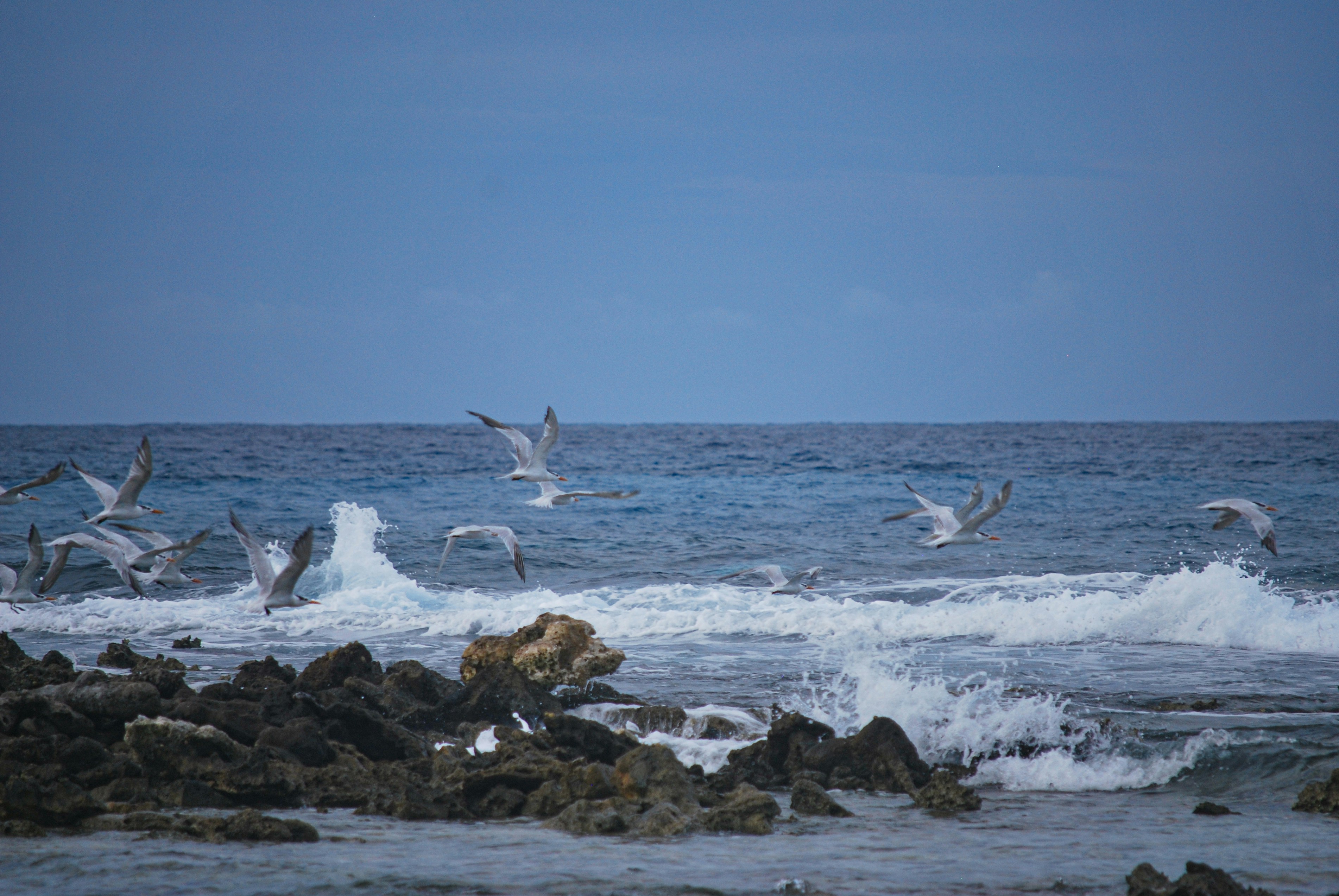 Photo by legallyguaricho