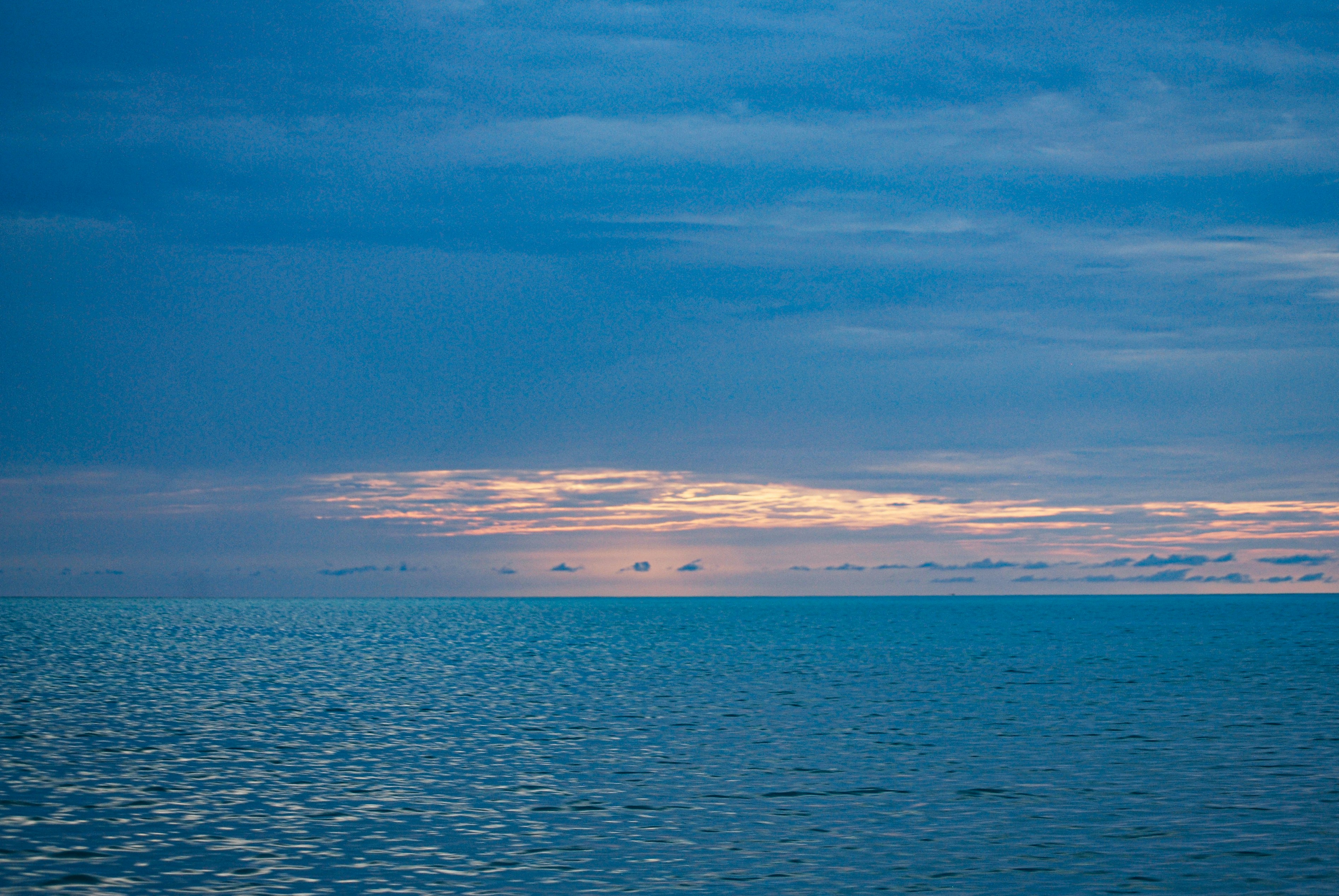 Photo by legallyguaricho