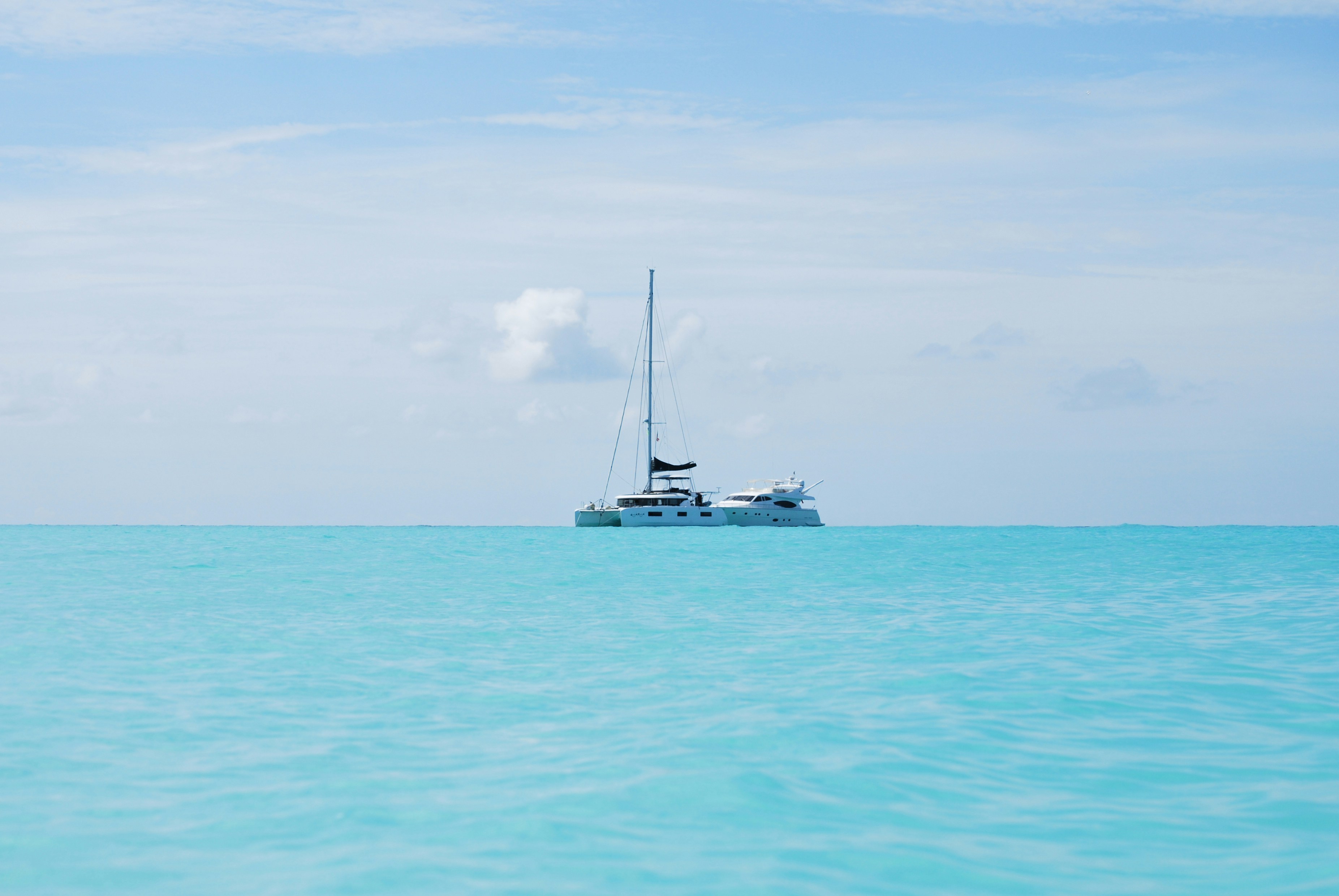 Photo by legallyguaricho