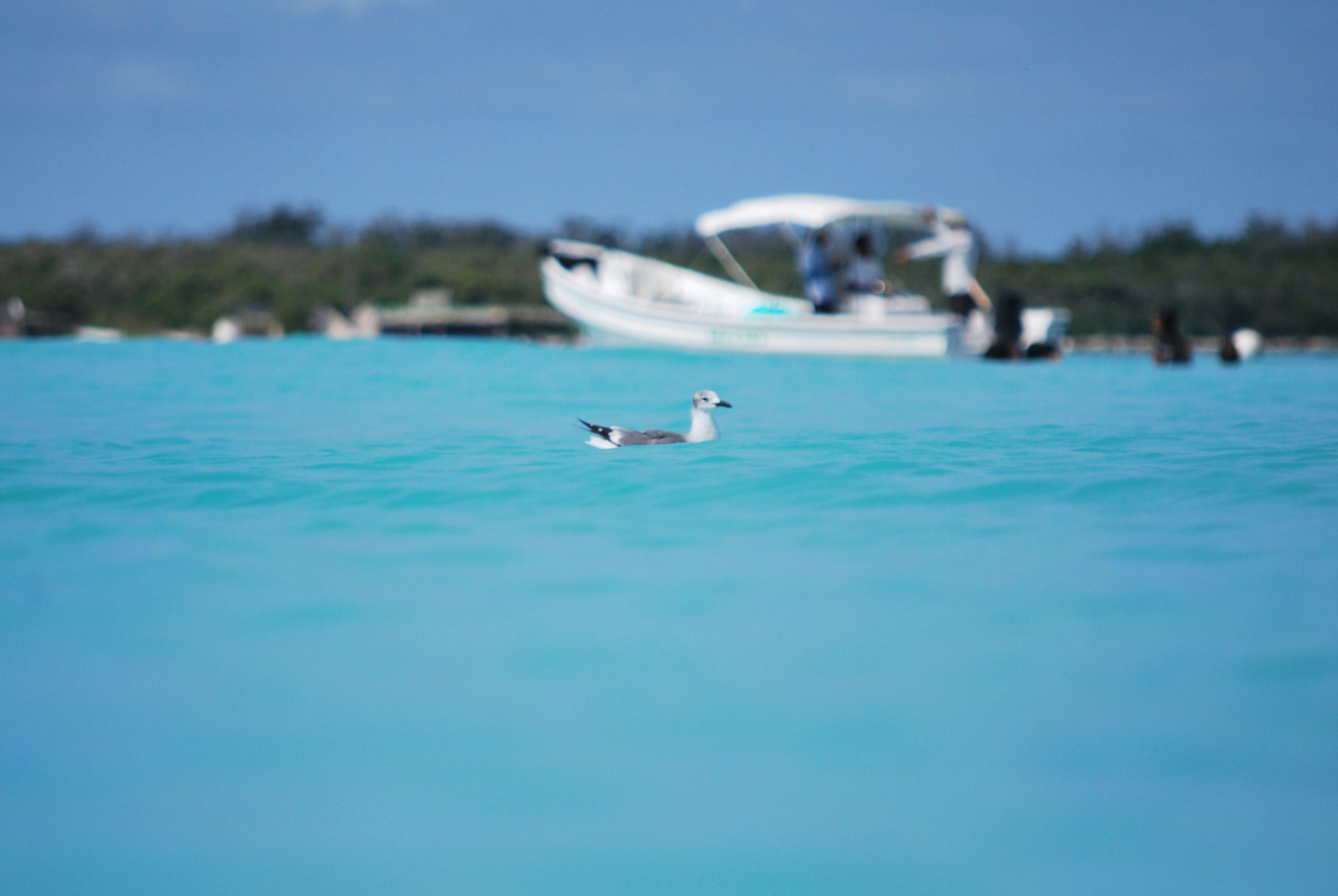 A boat floating in the middle of a body of water