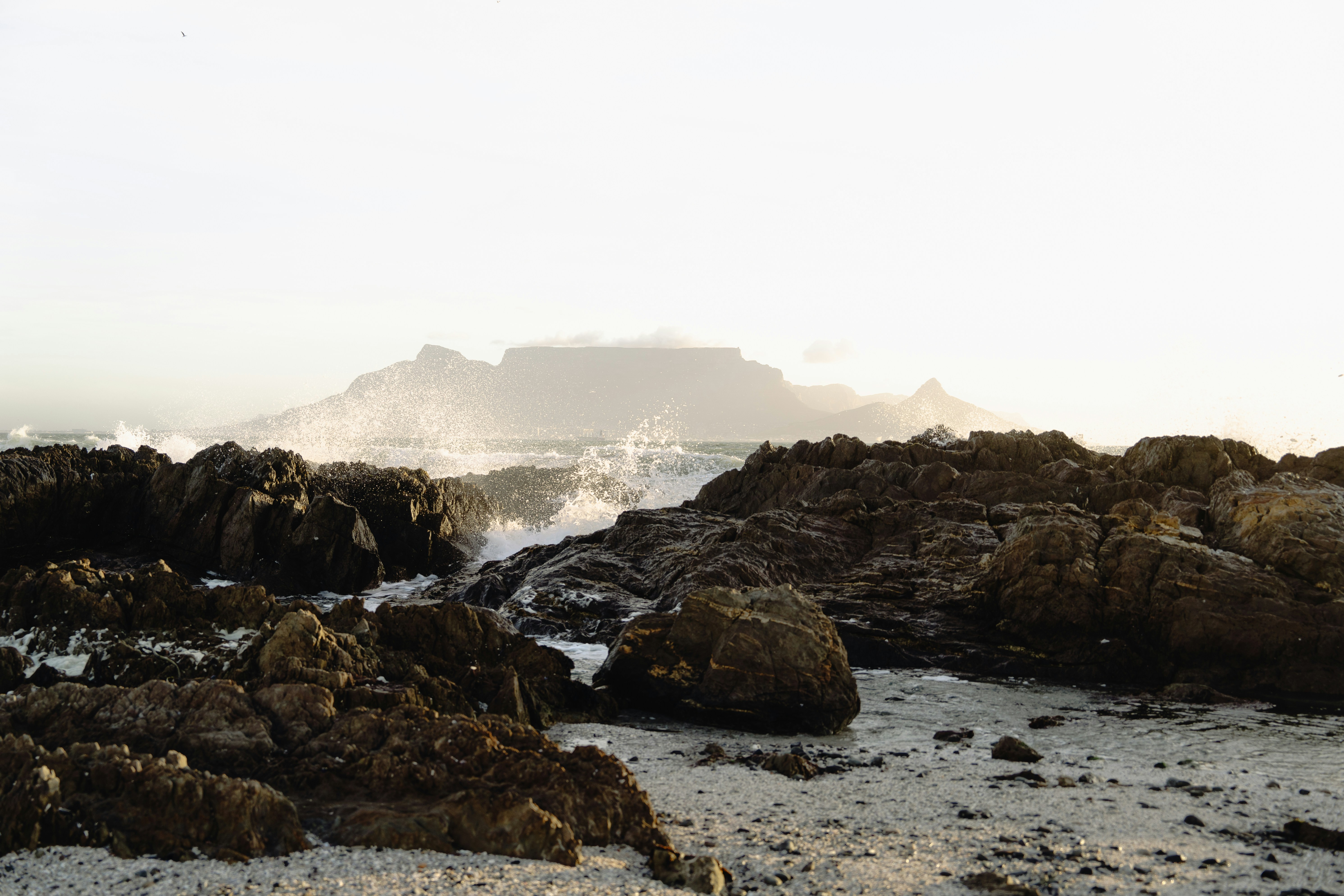 Photo by carlieofthesouthafricanbos