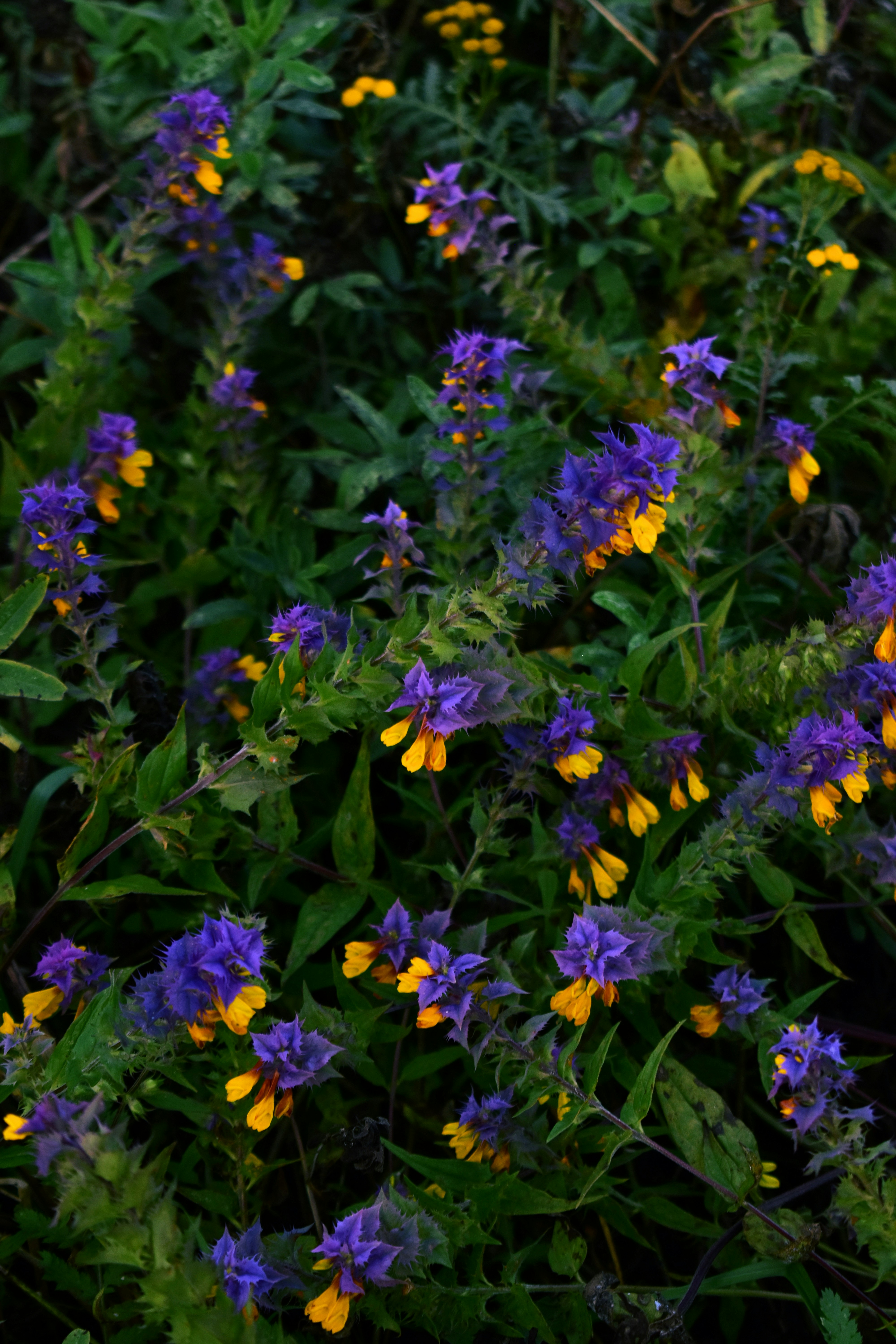 Photo by polina_grishma