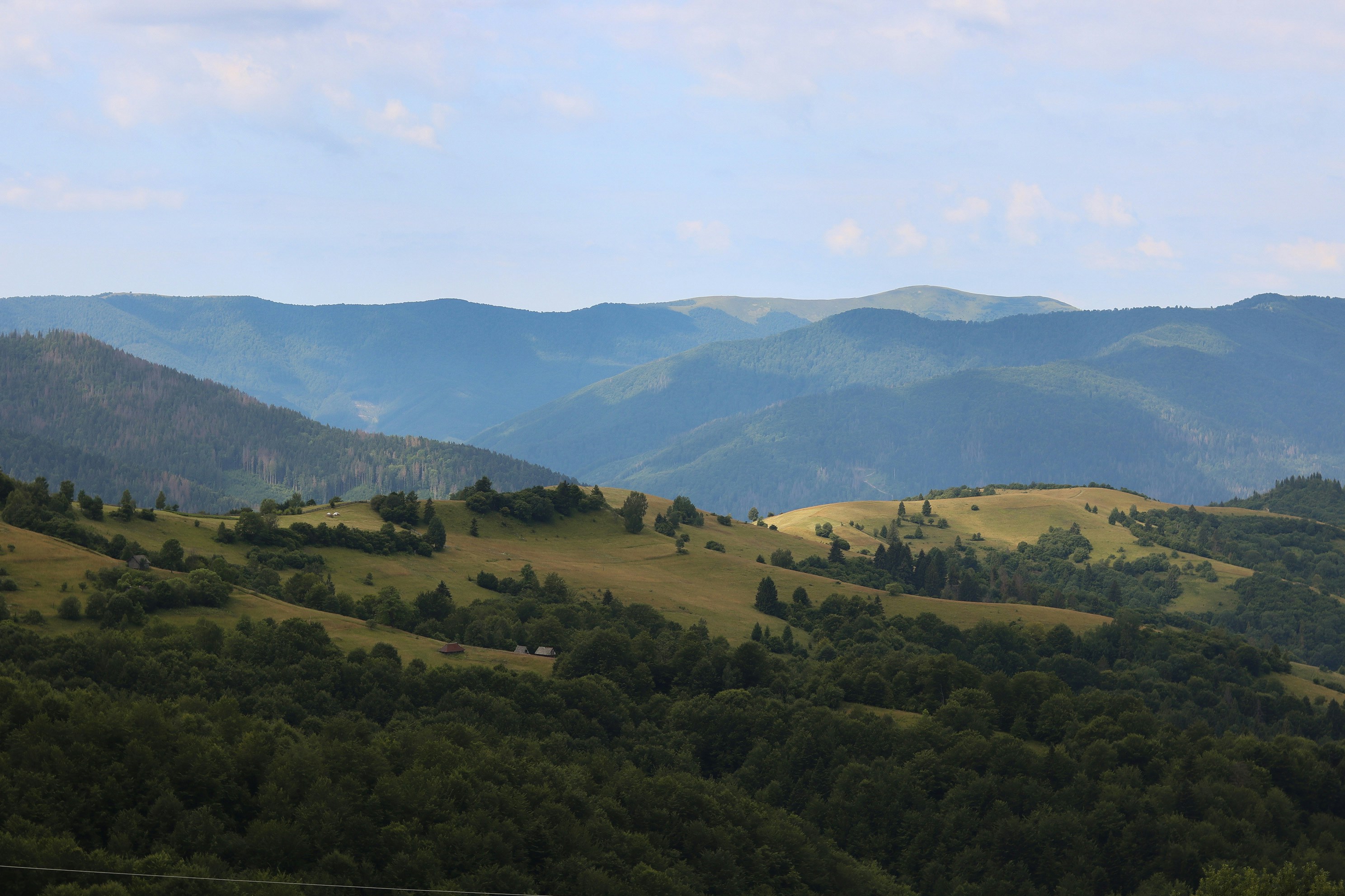 Photo by christina_bozh