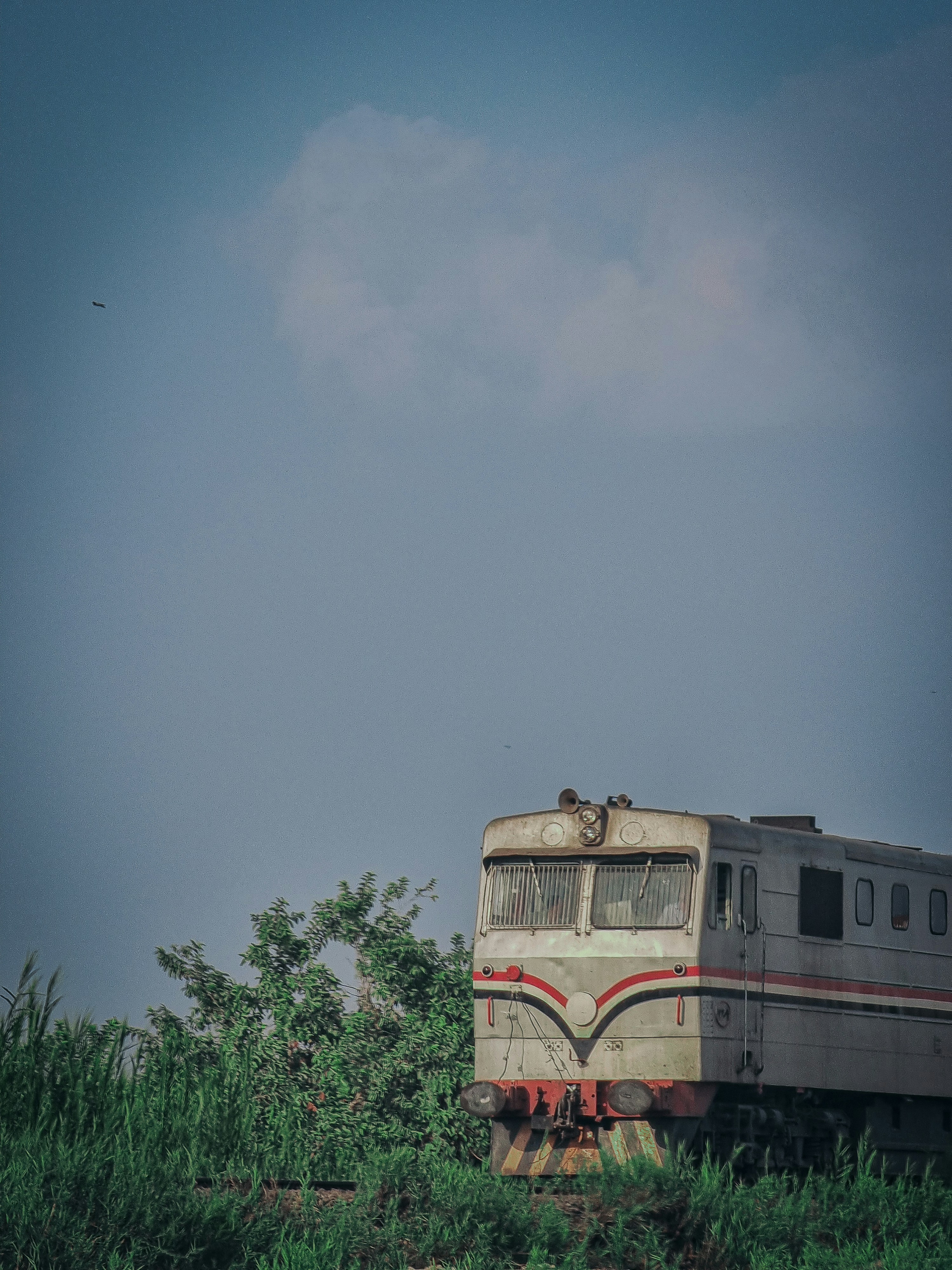 A train traveling through a lush green countryside