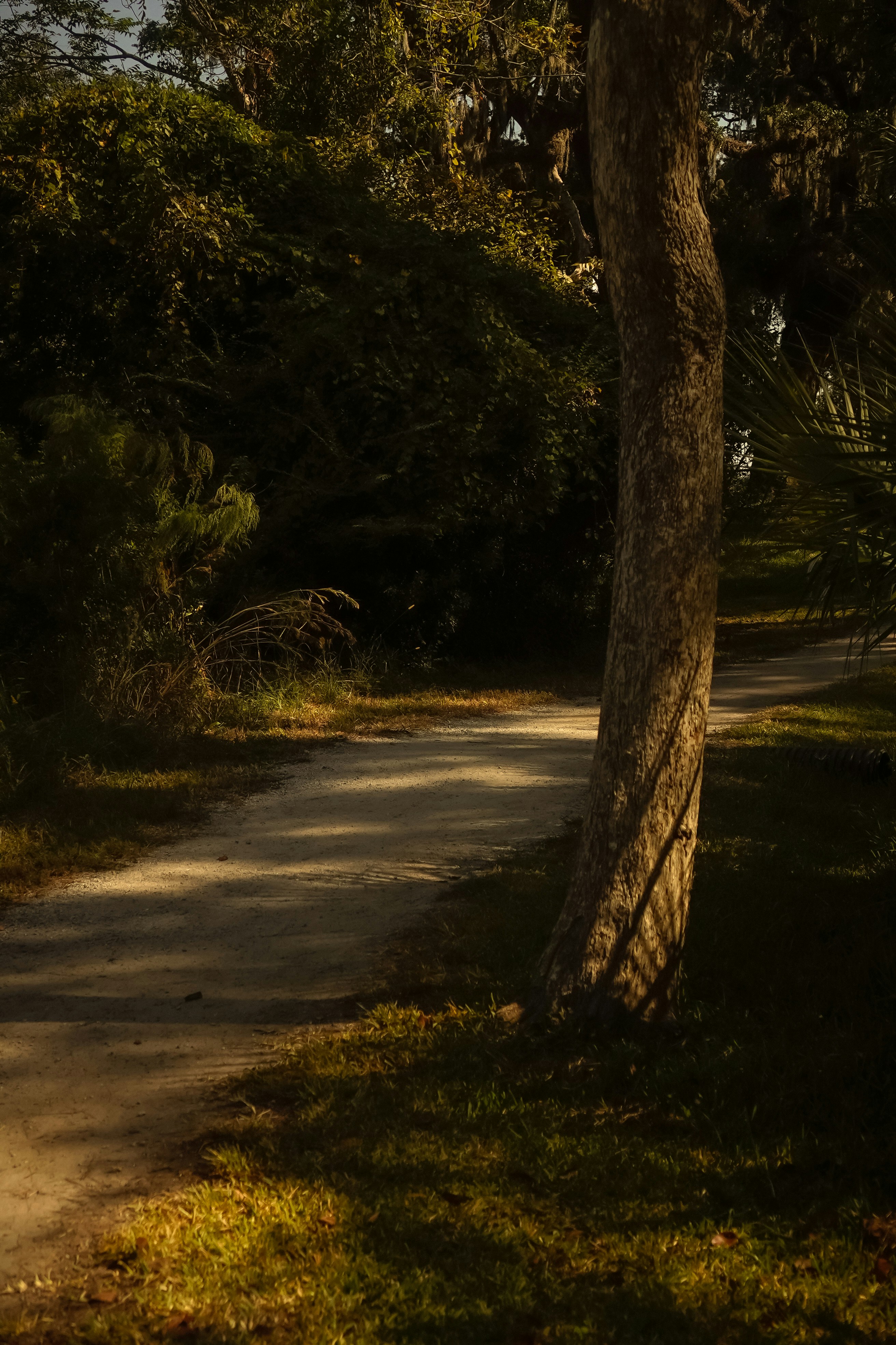 Photo by baileywarlickphotography