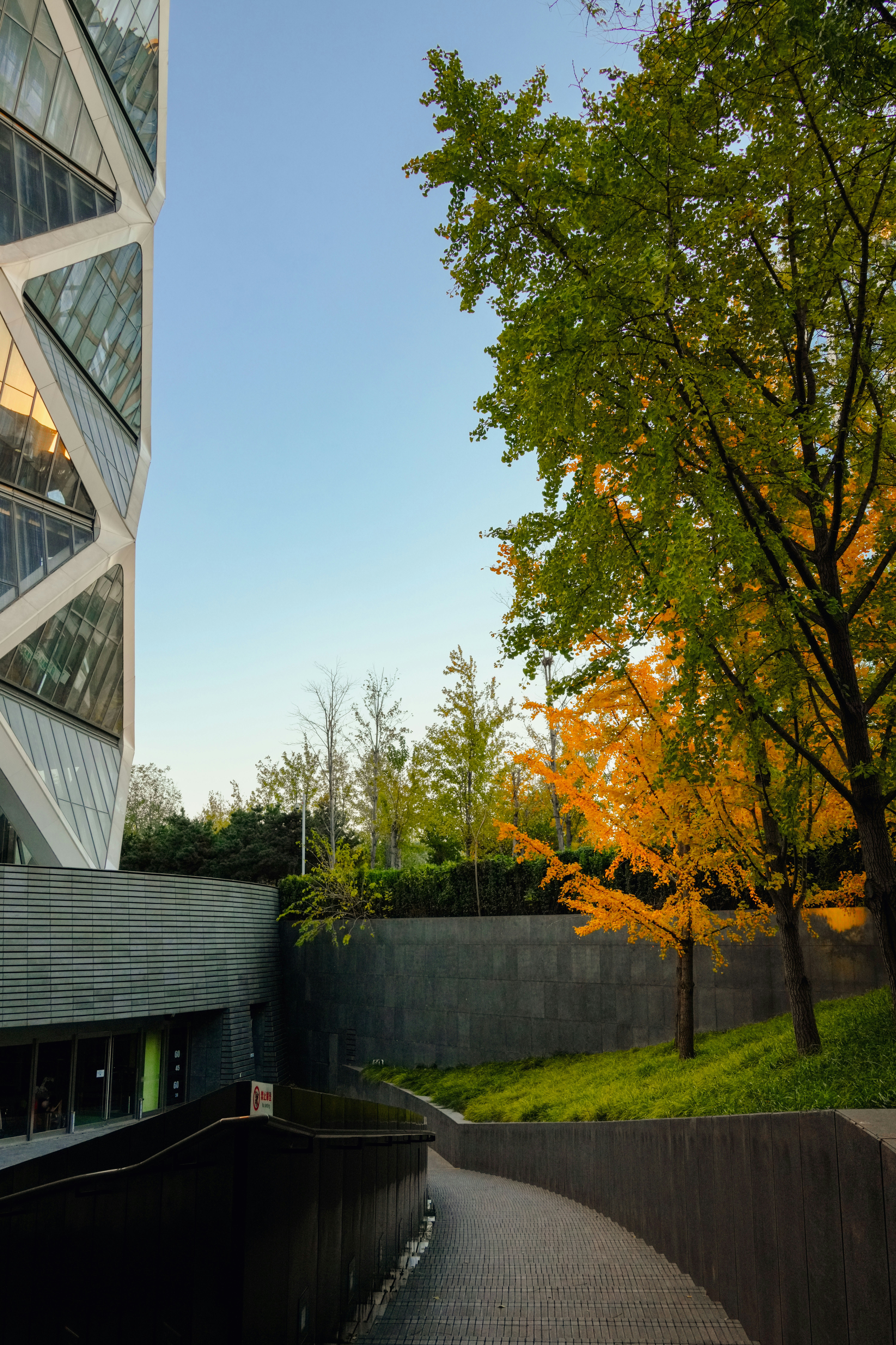 Photo by hattrick1996