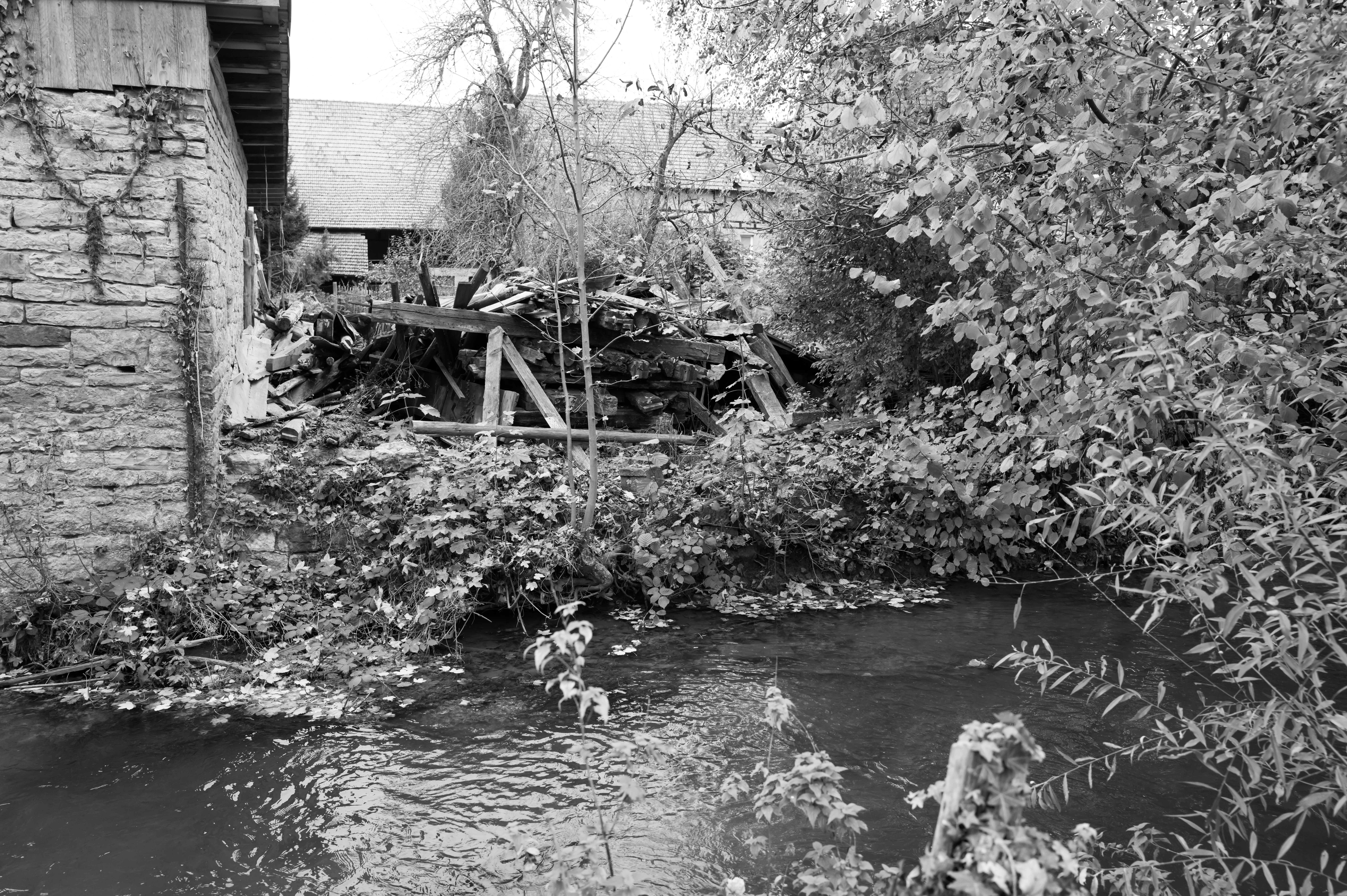 Photo by georgeiermann