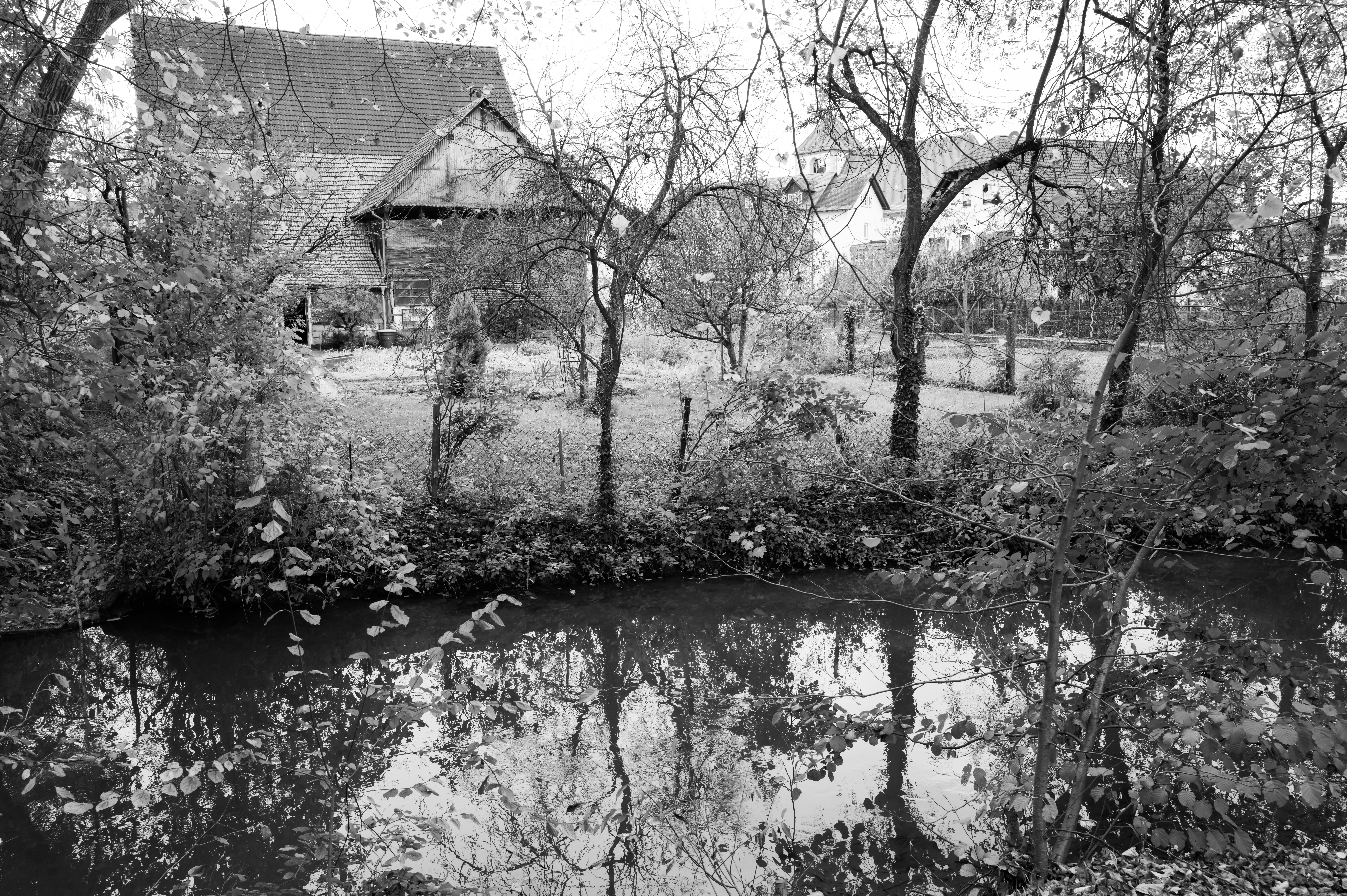 Photo by georgeiermann