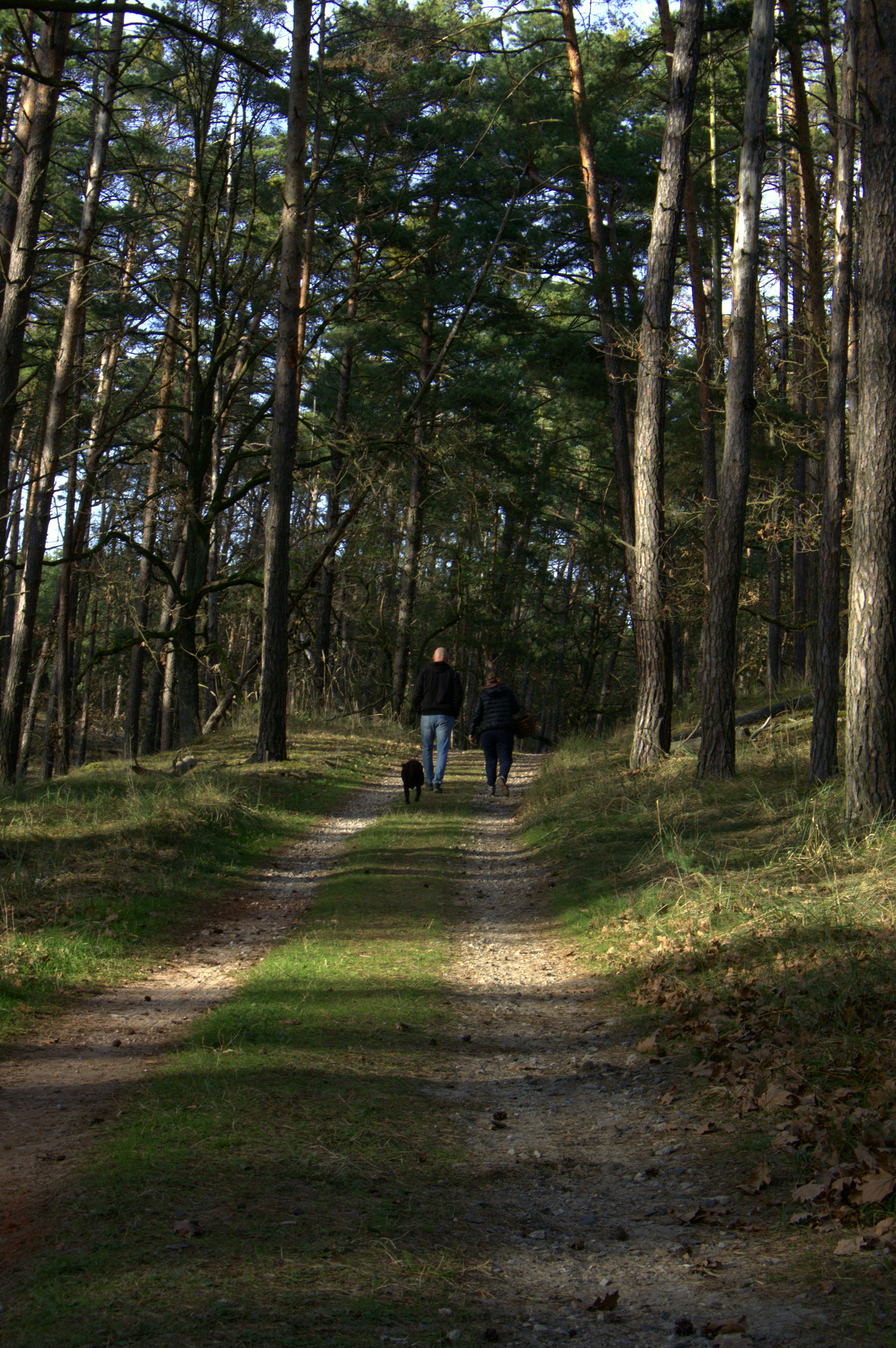 Photo by martin_lednar