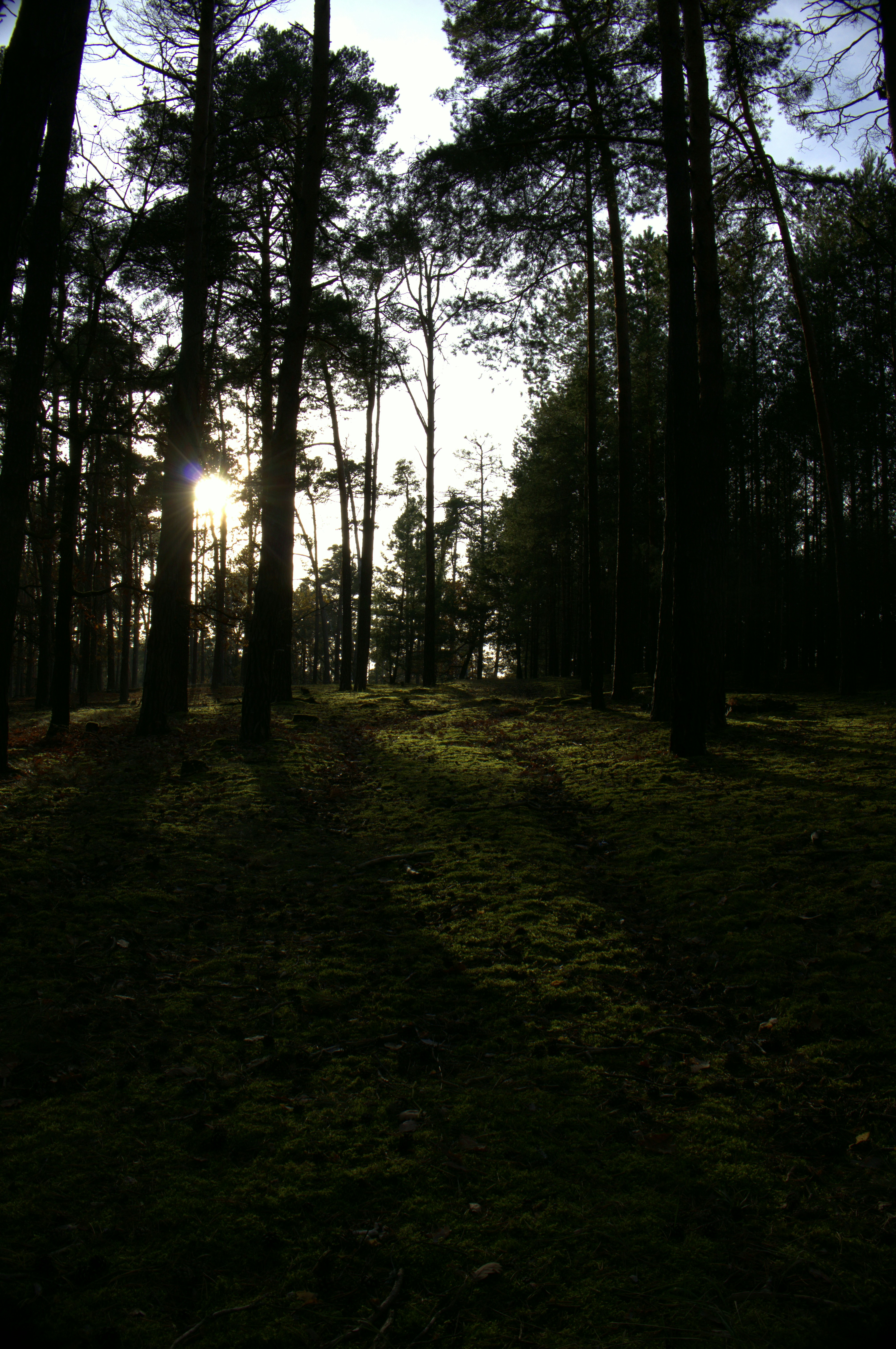 Photo by martin_lednar