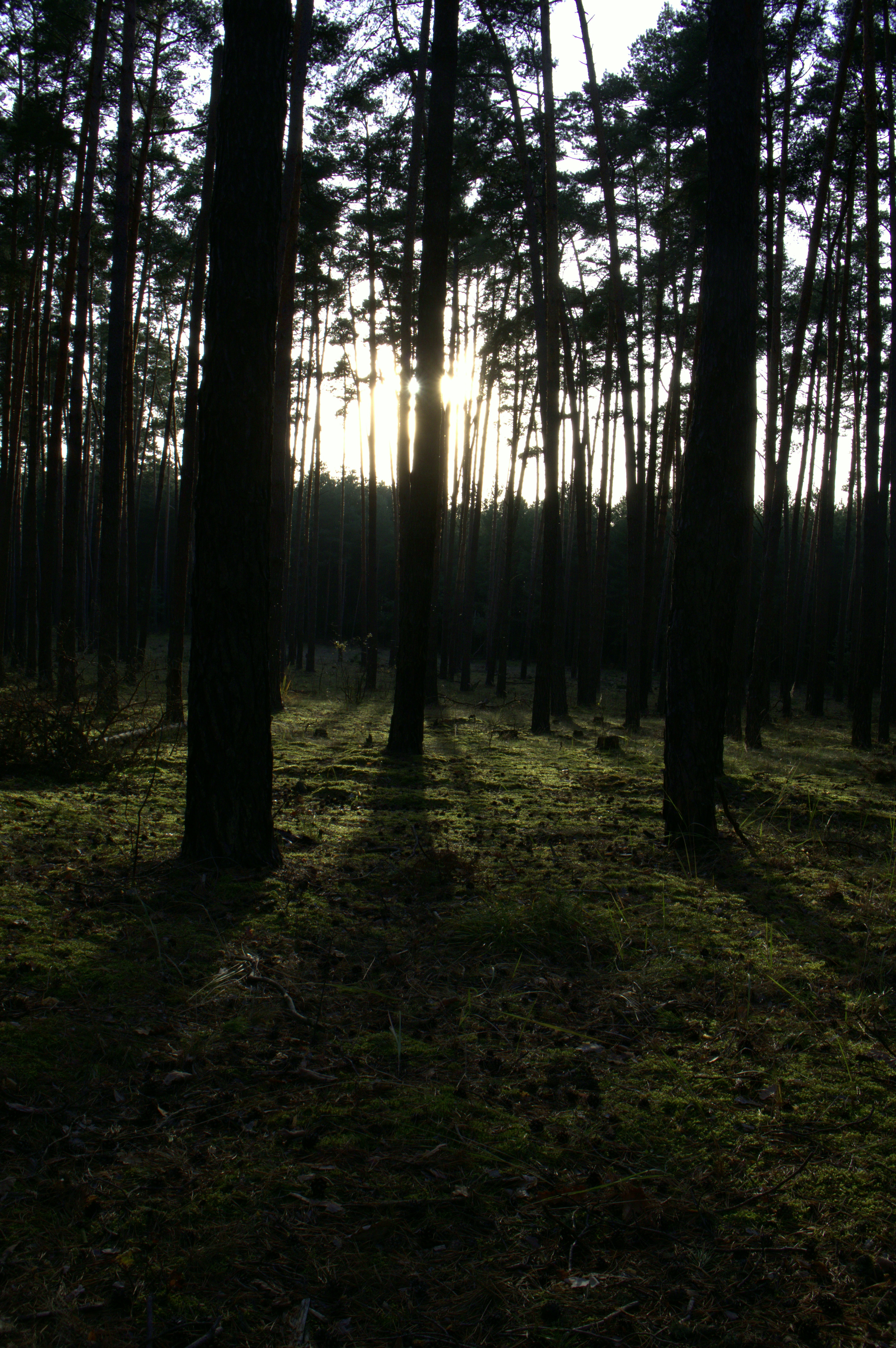 Photo by martin_lednar