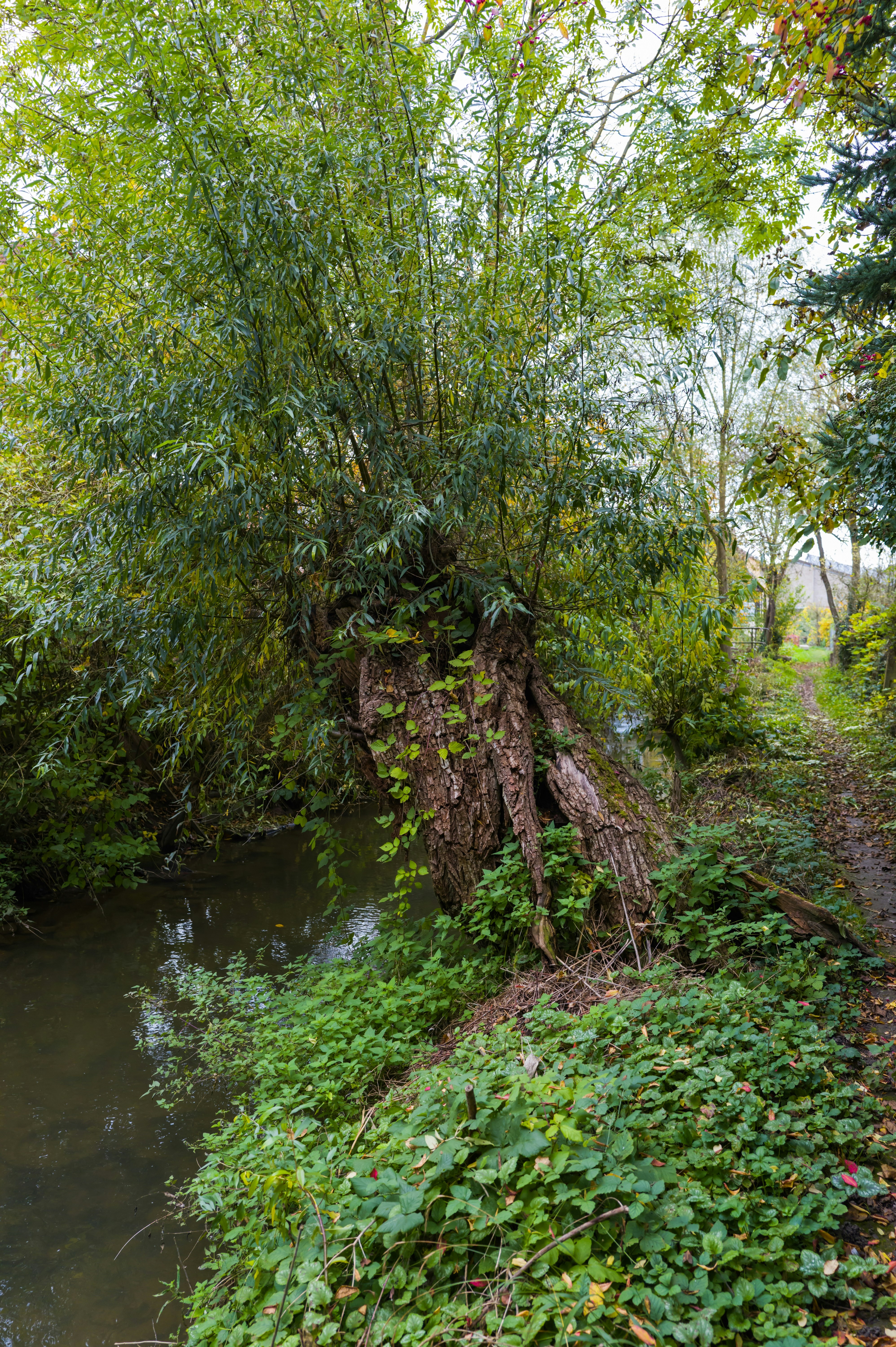 Photo by georgeiermann