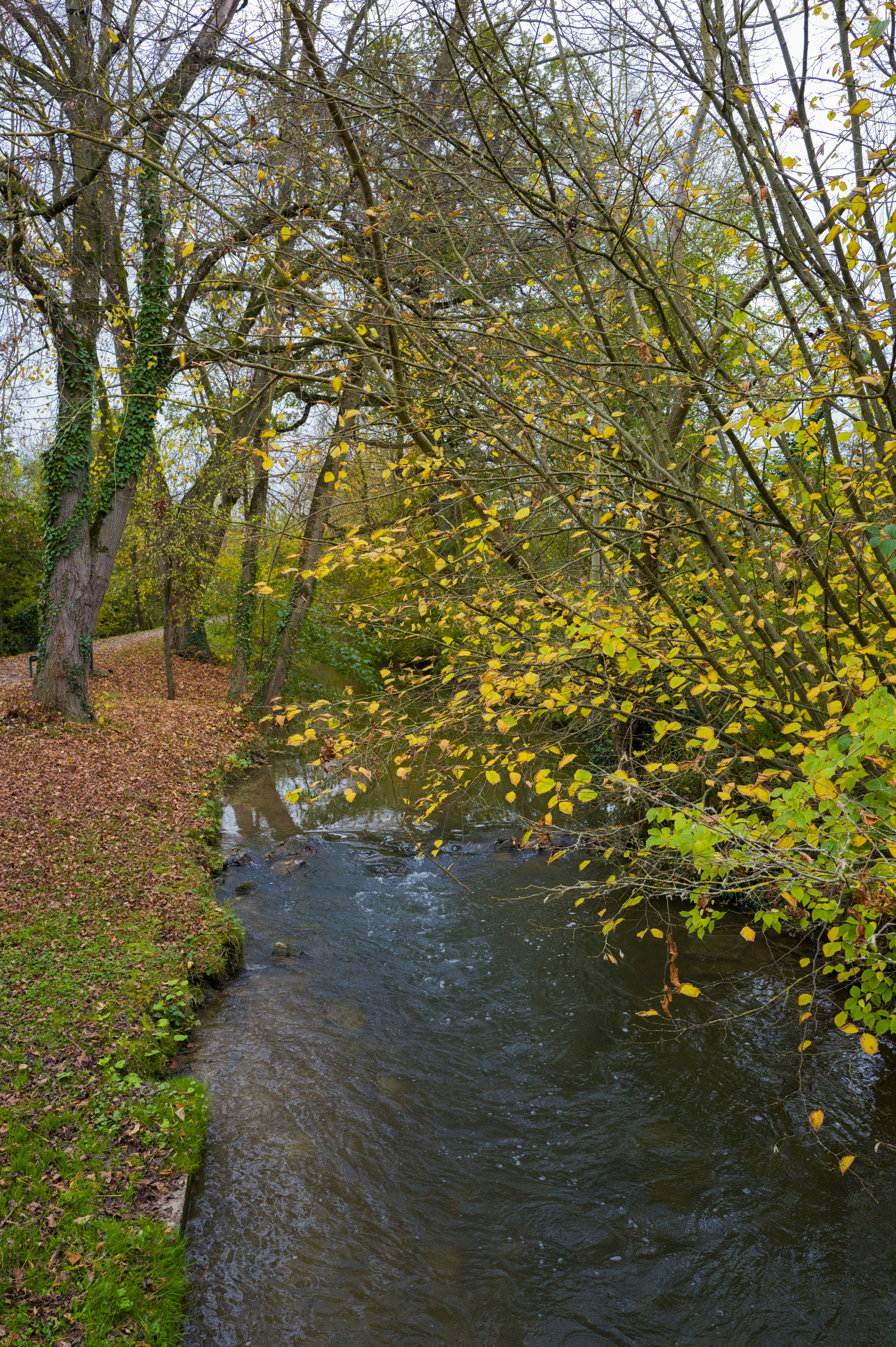 Photo by georgeiermann