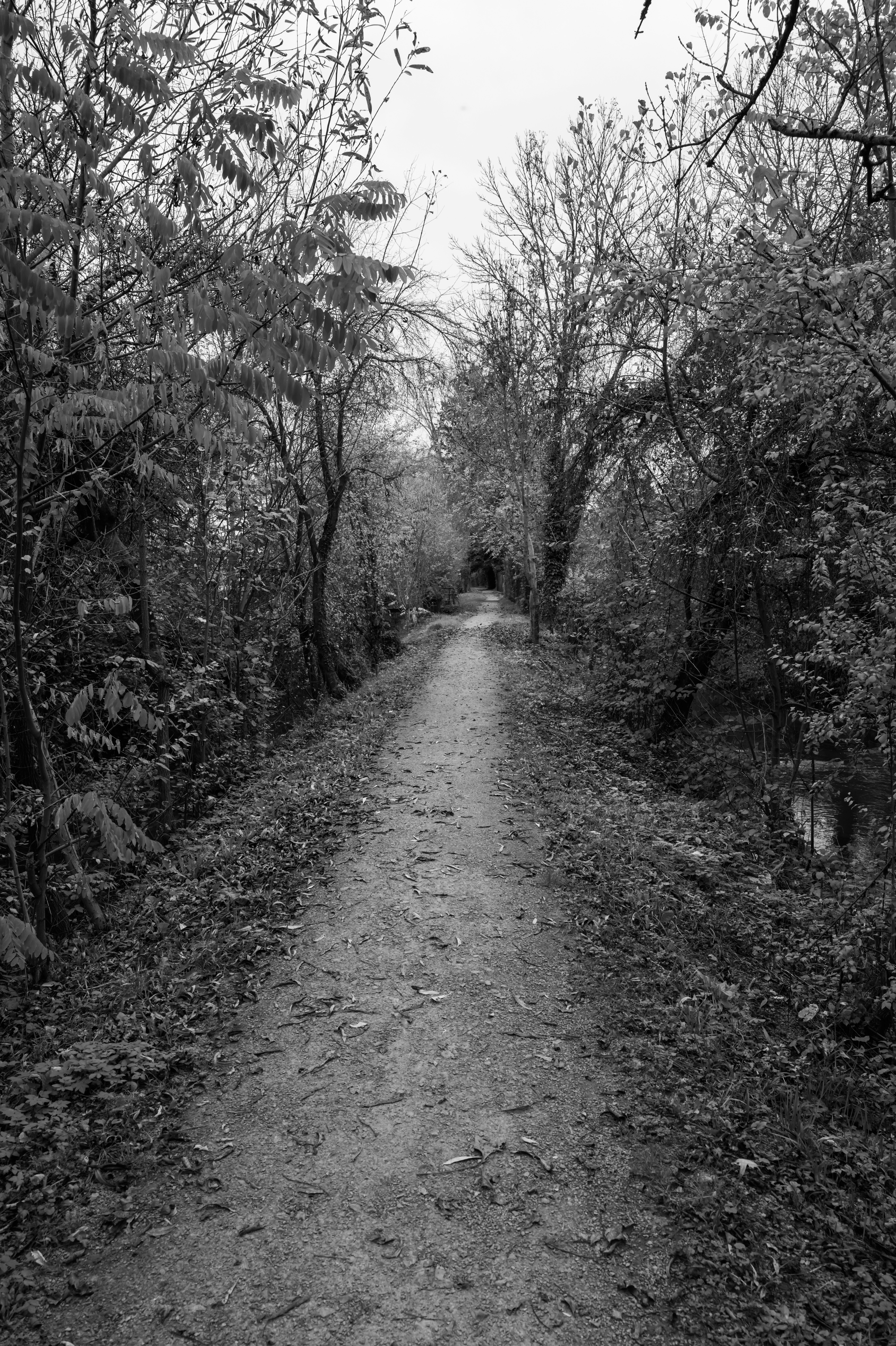 Photo by georgeiermann