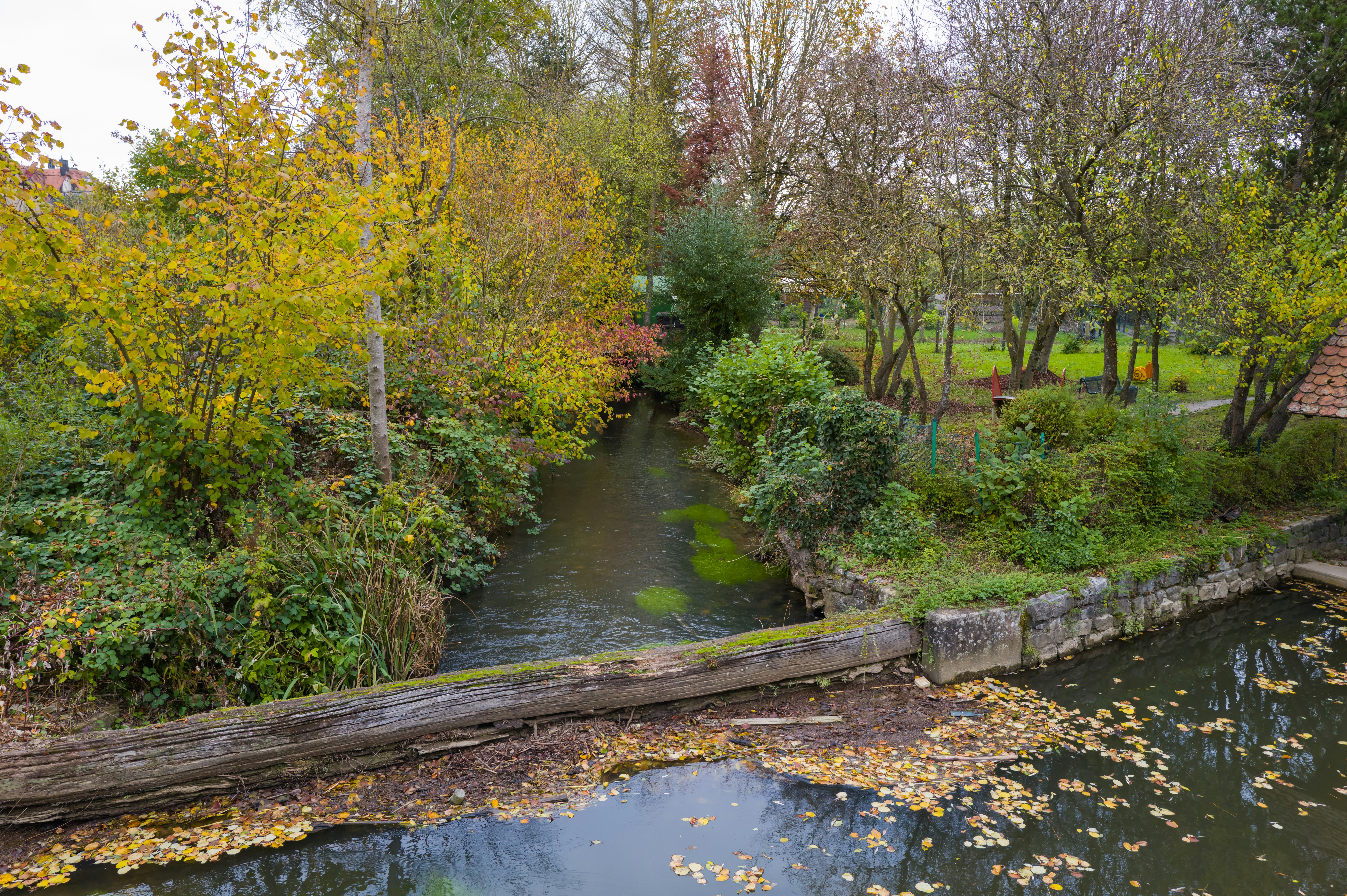 Photo by georgeiermann