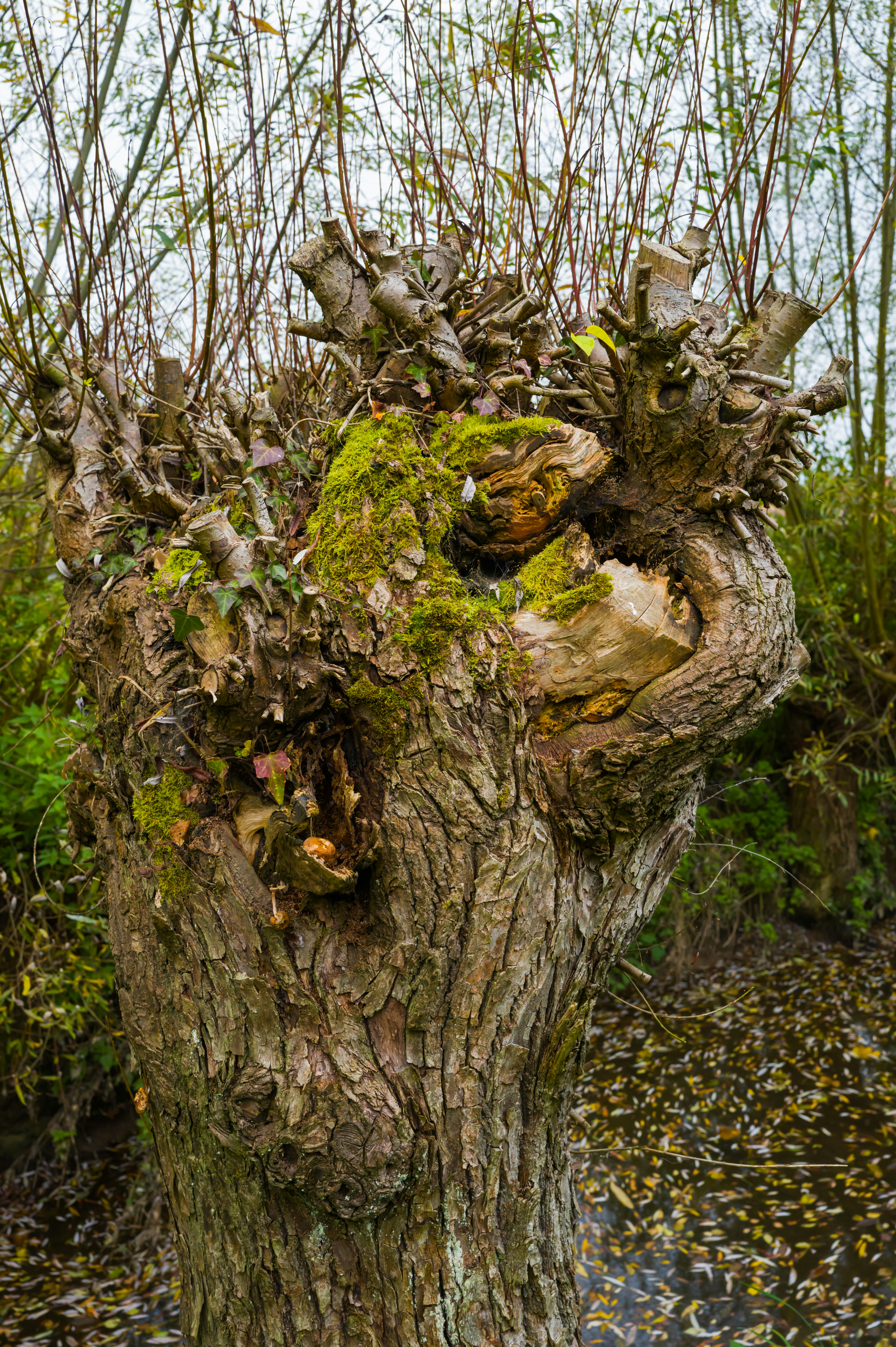 Photo by georgeiermann