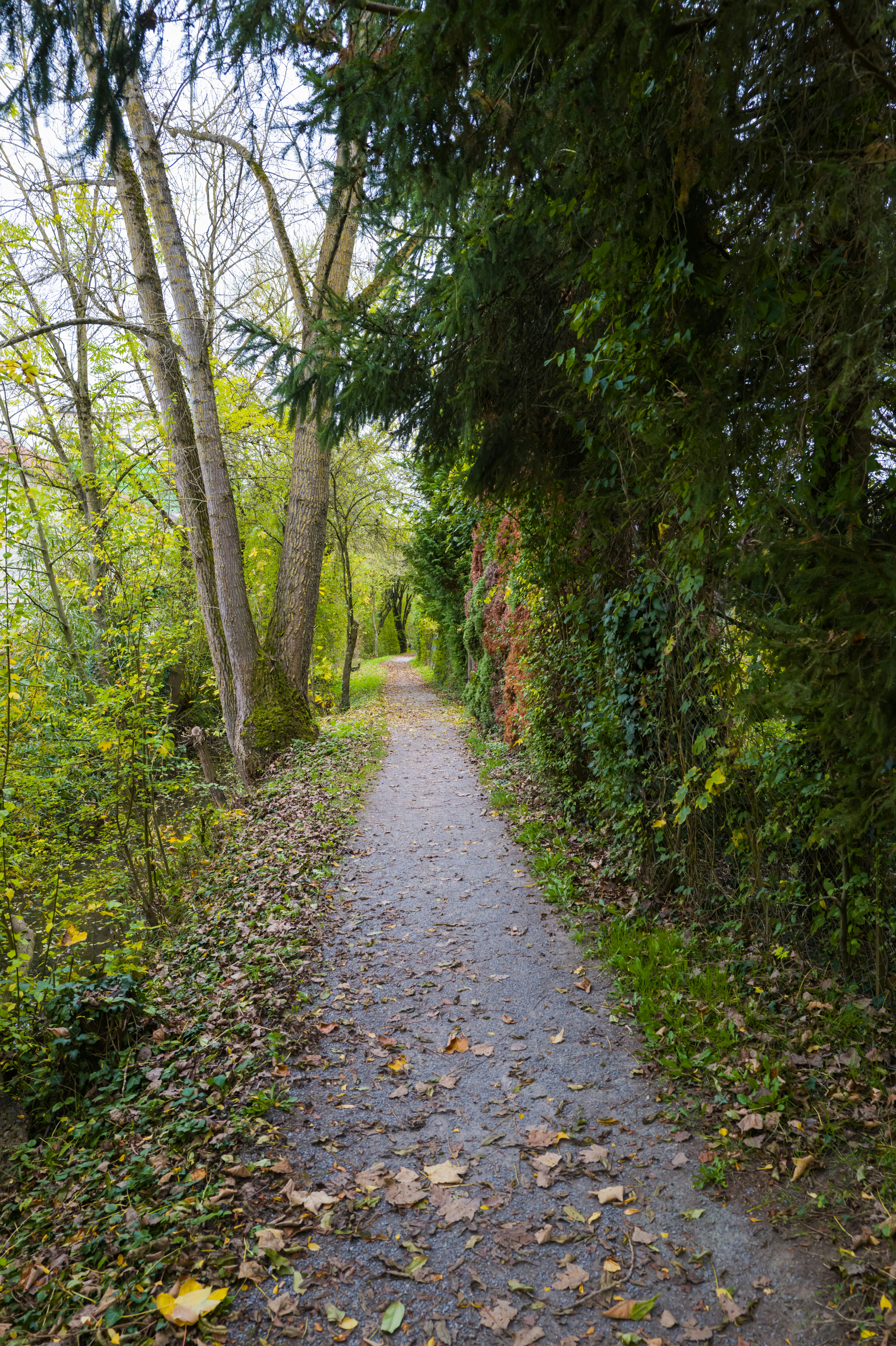 Photo by georgeiermann