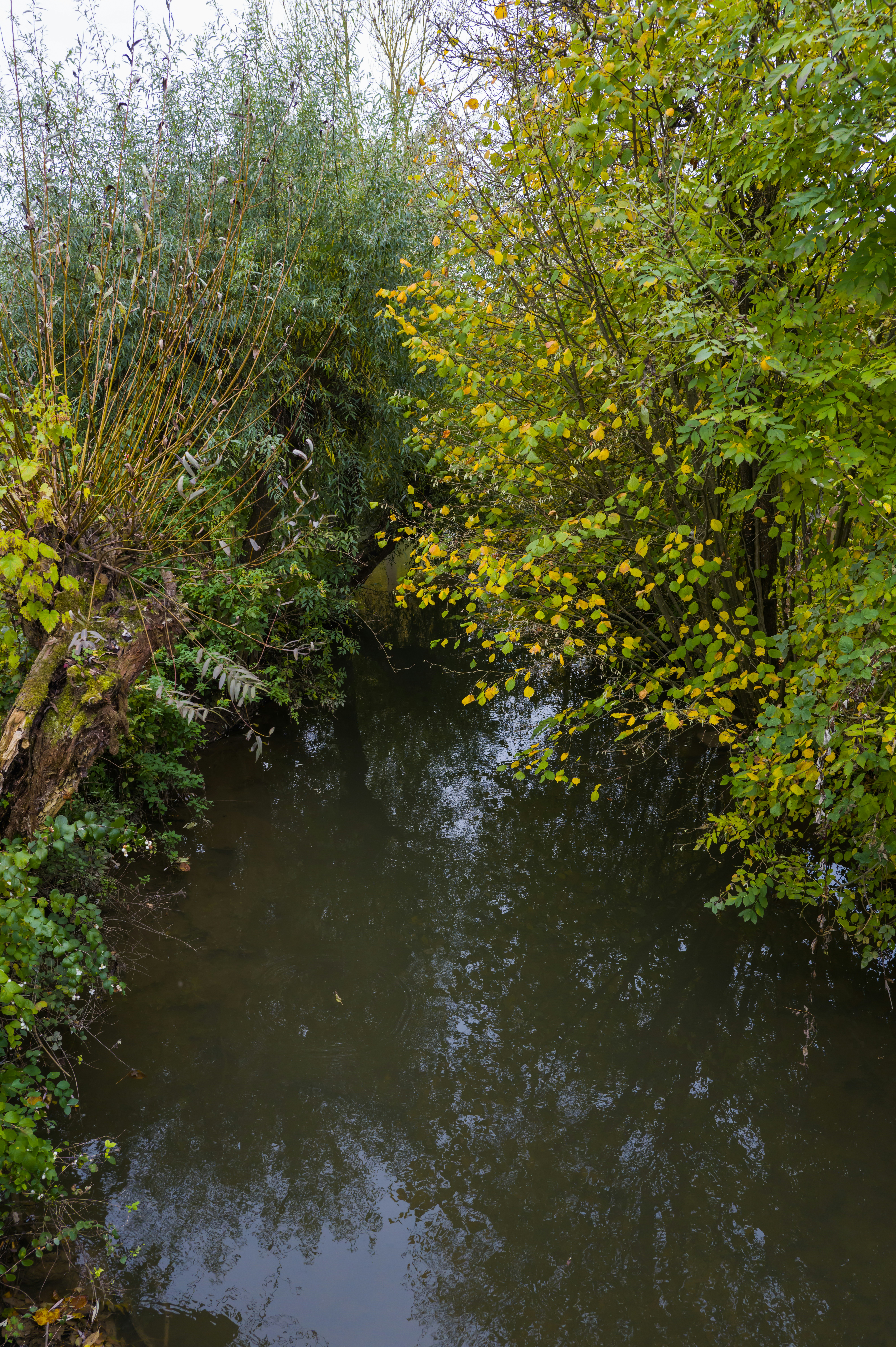 Photo by georgeiermann