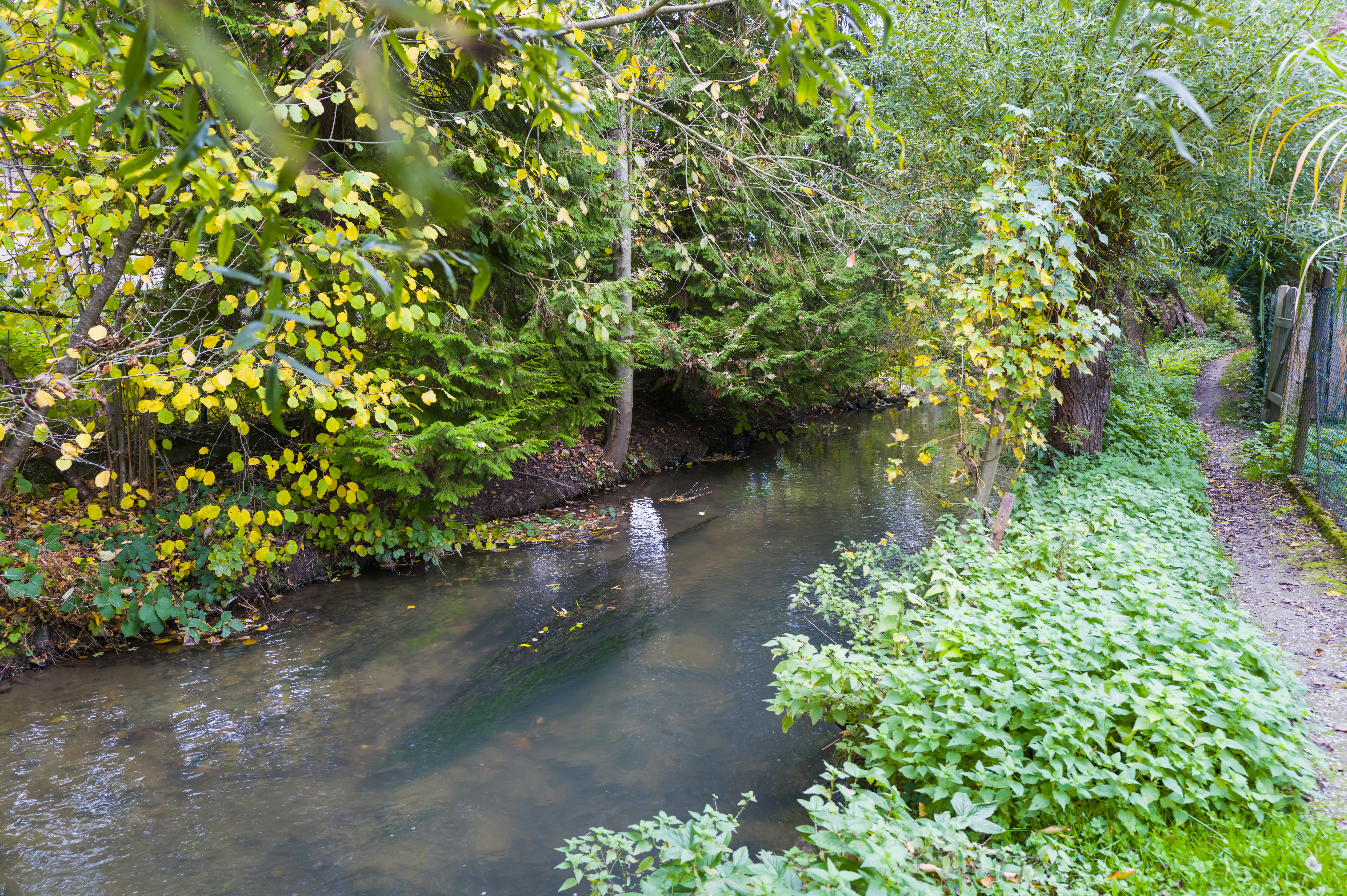 Photo by georgeiermann