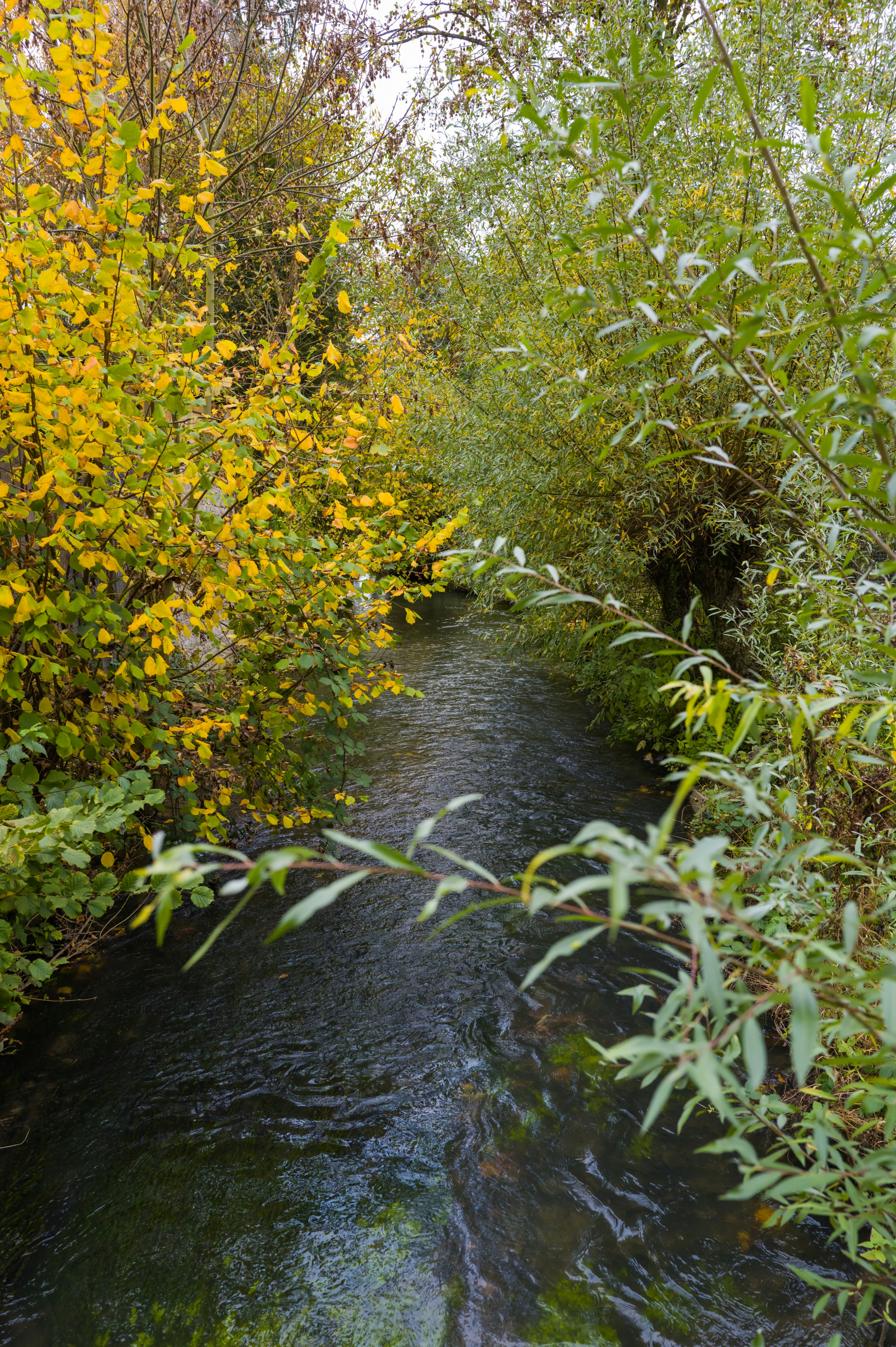 Photo by georgeiermann