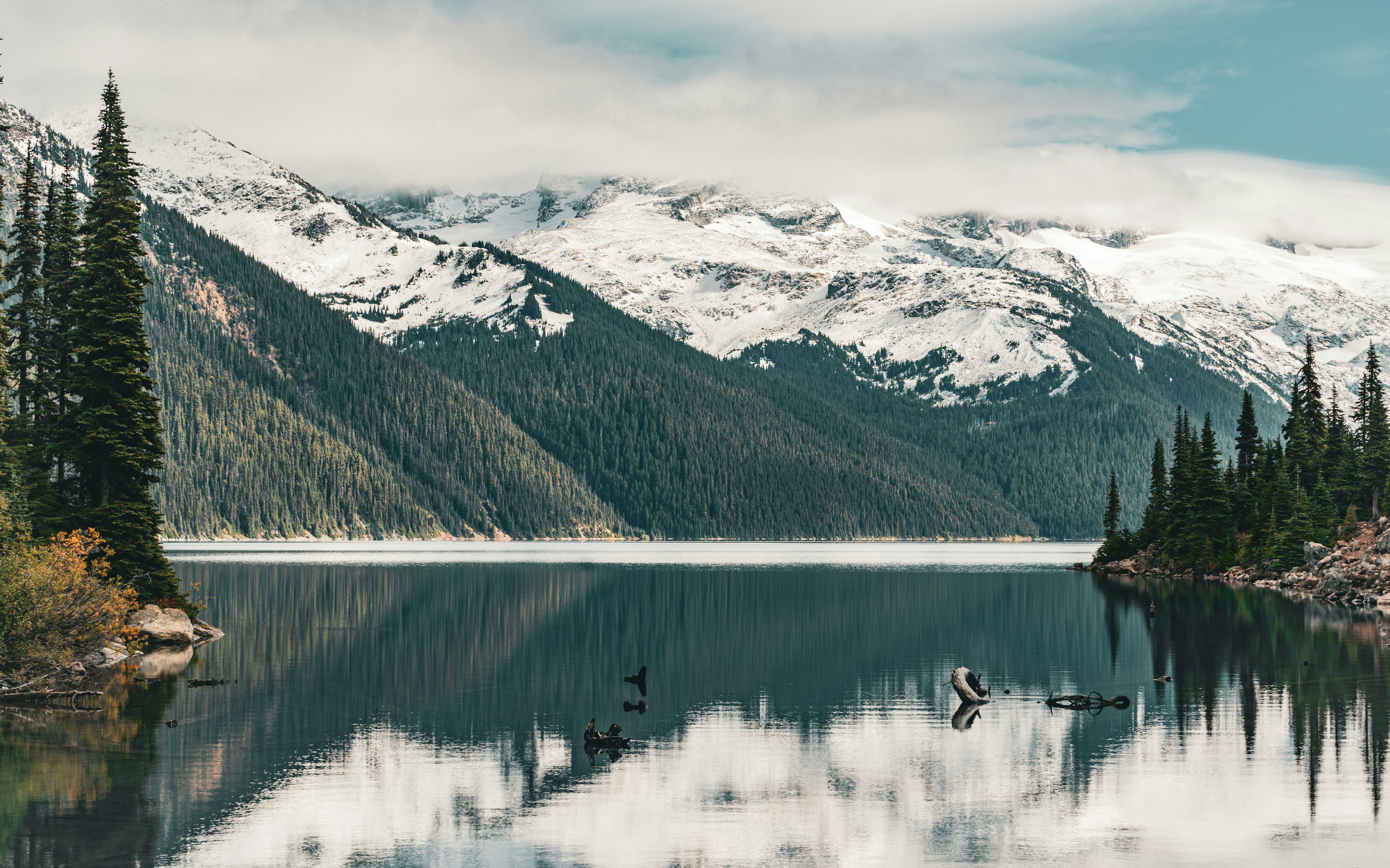 Photo by kayvanmazhar