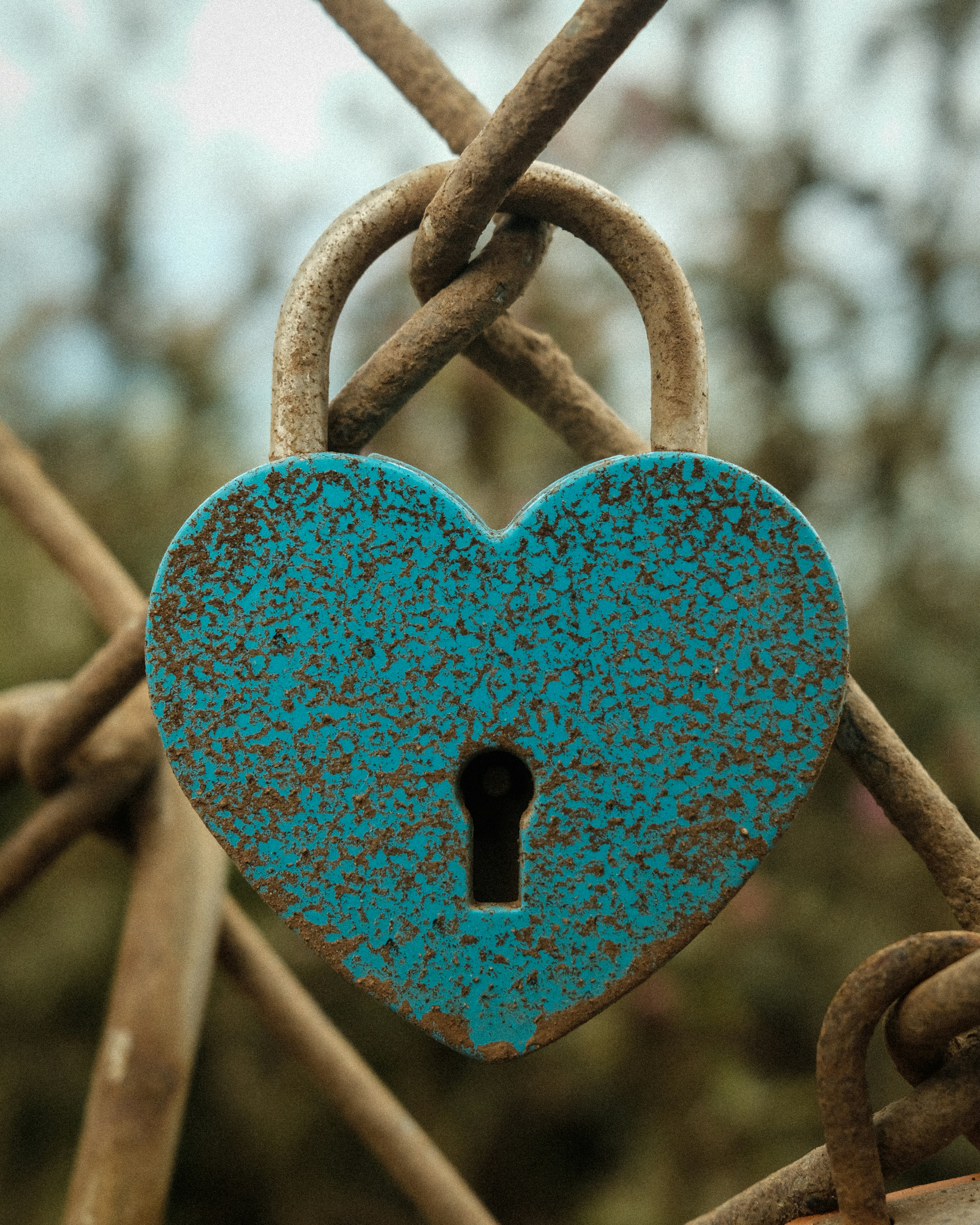 Photo by ower_yonder