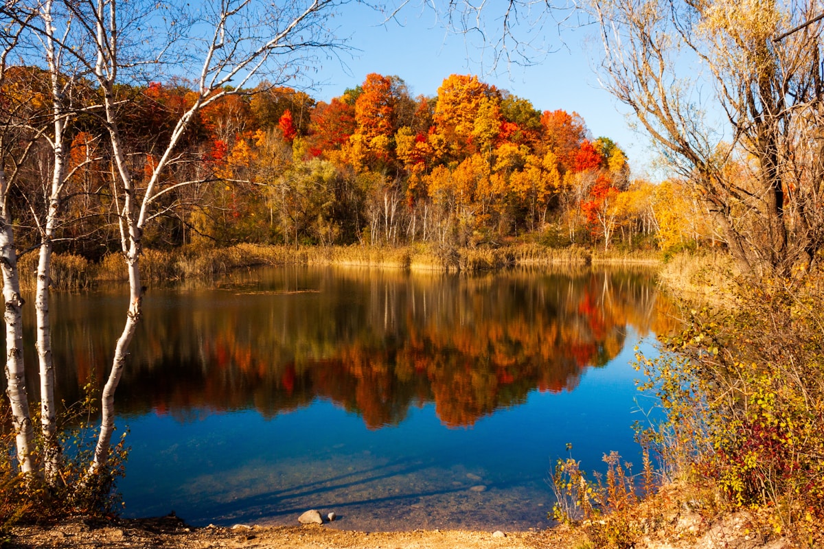 Oživovanie minulosti Pateros: Návrhy animácií pre 'Nick On The Rocks'