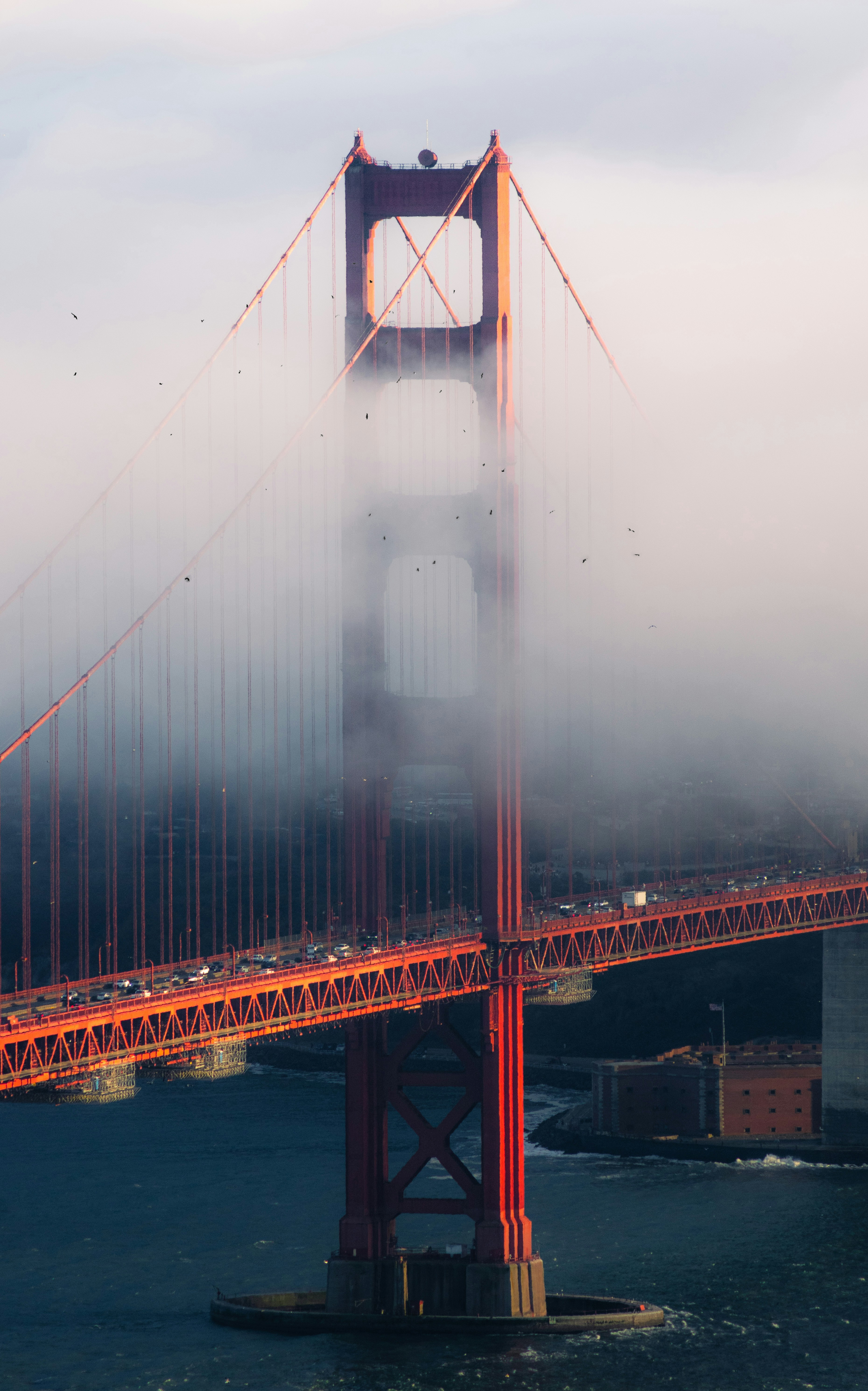 Photo by bronsonvalley