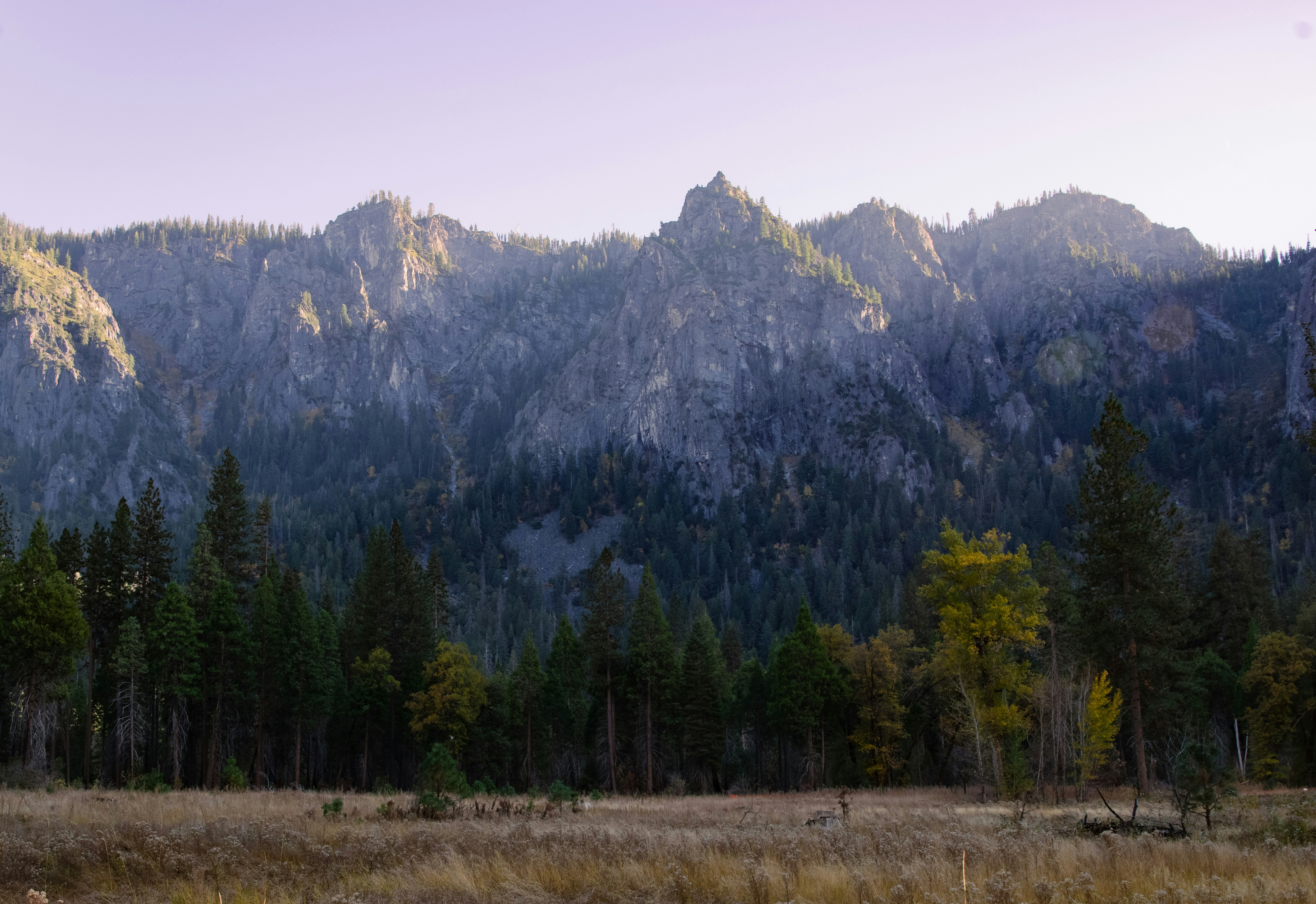 Photo by bronsonvalley