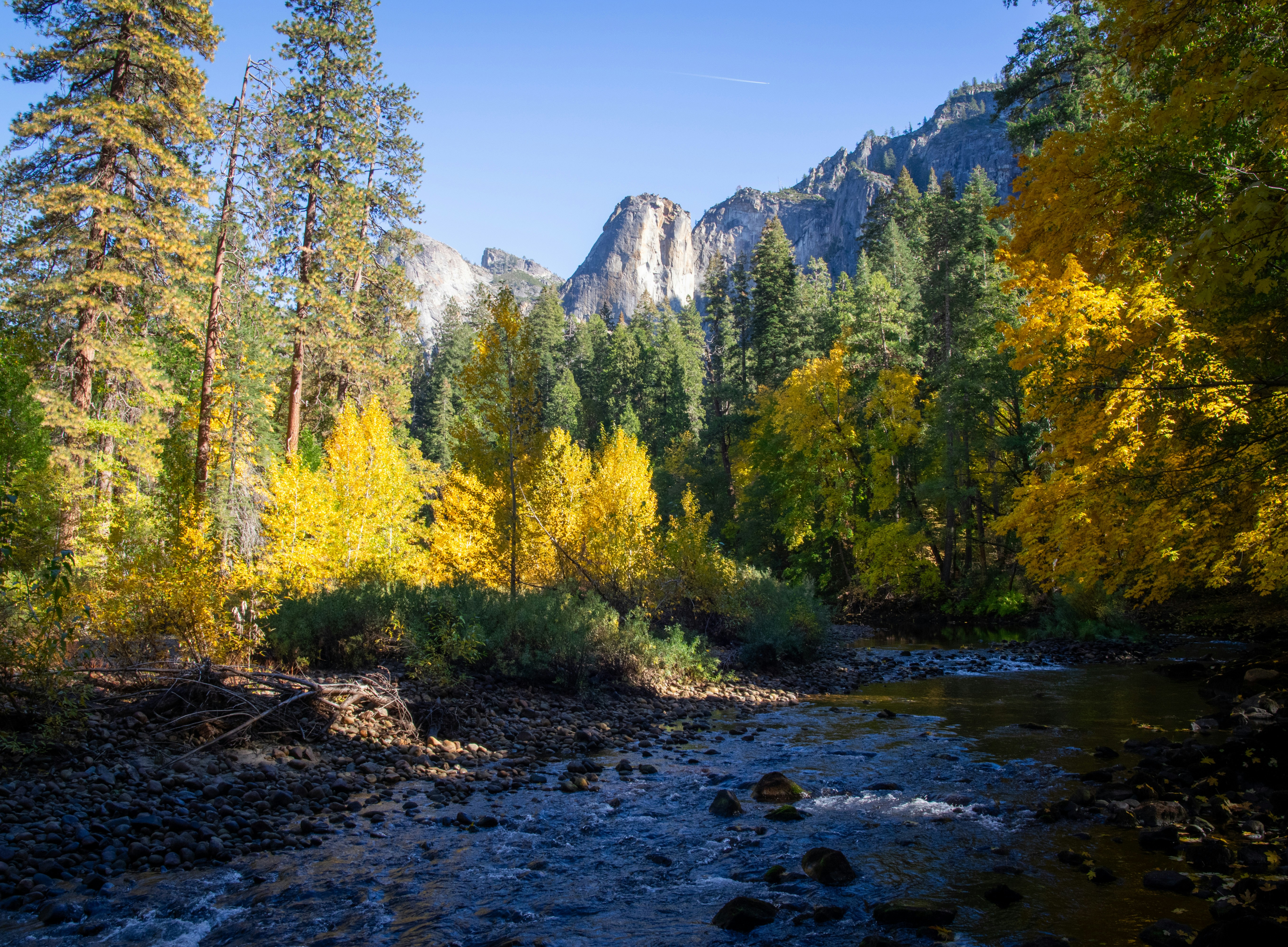 Photo by bronsonvalley