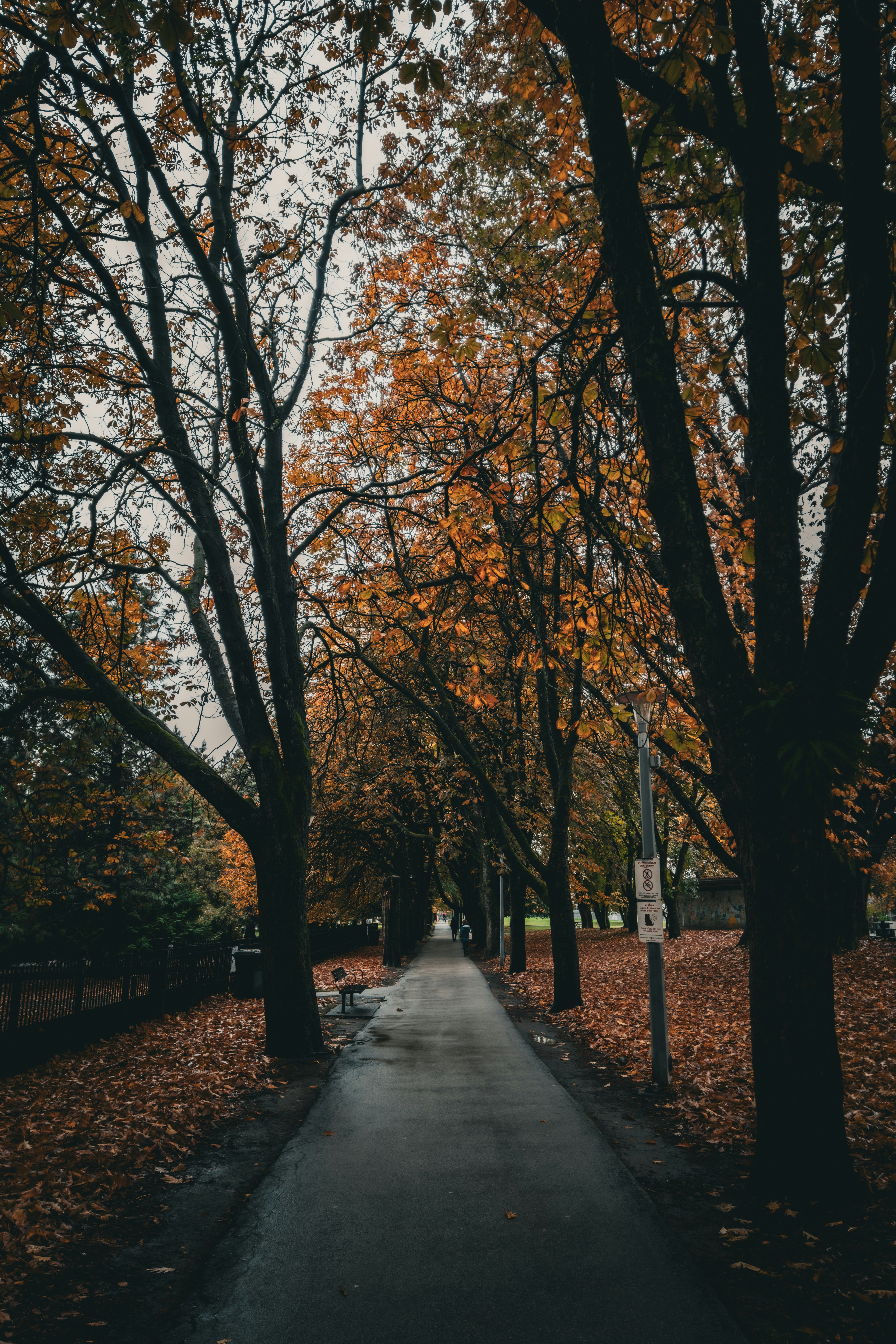 Photo by syawishrehman