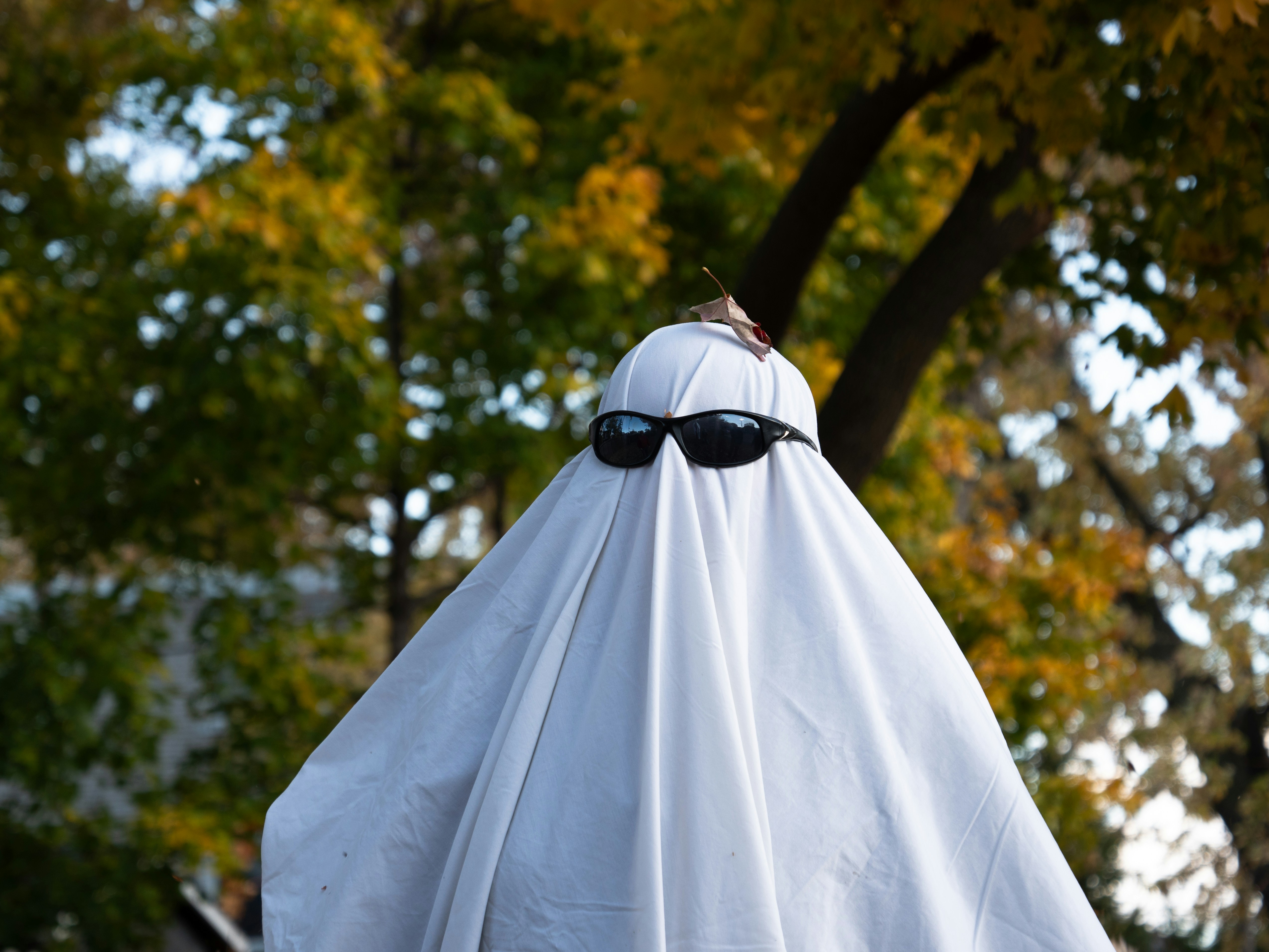 Photo by storybyphil