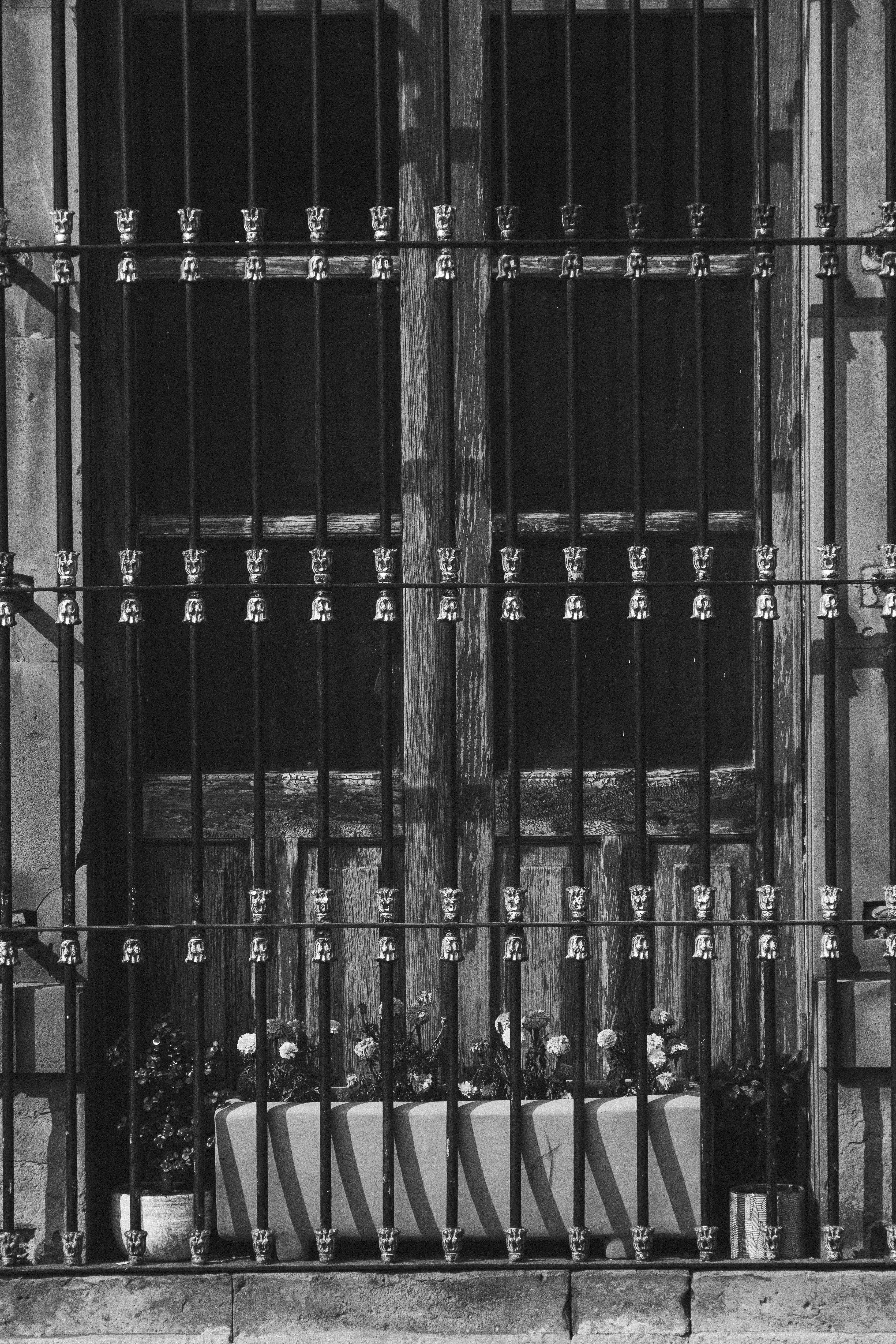 Photo by cejacityframes