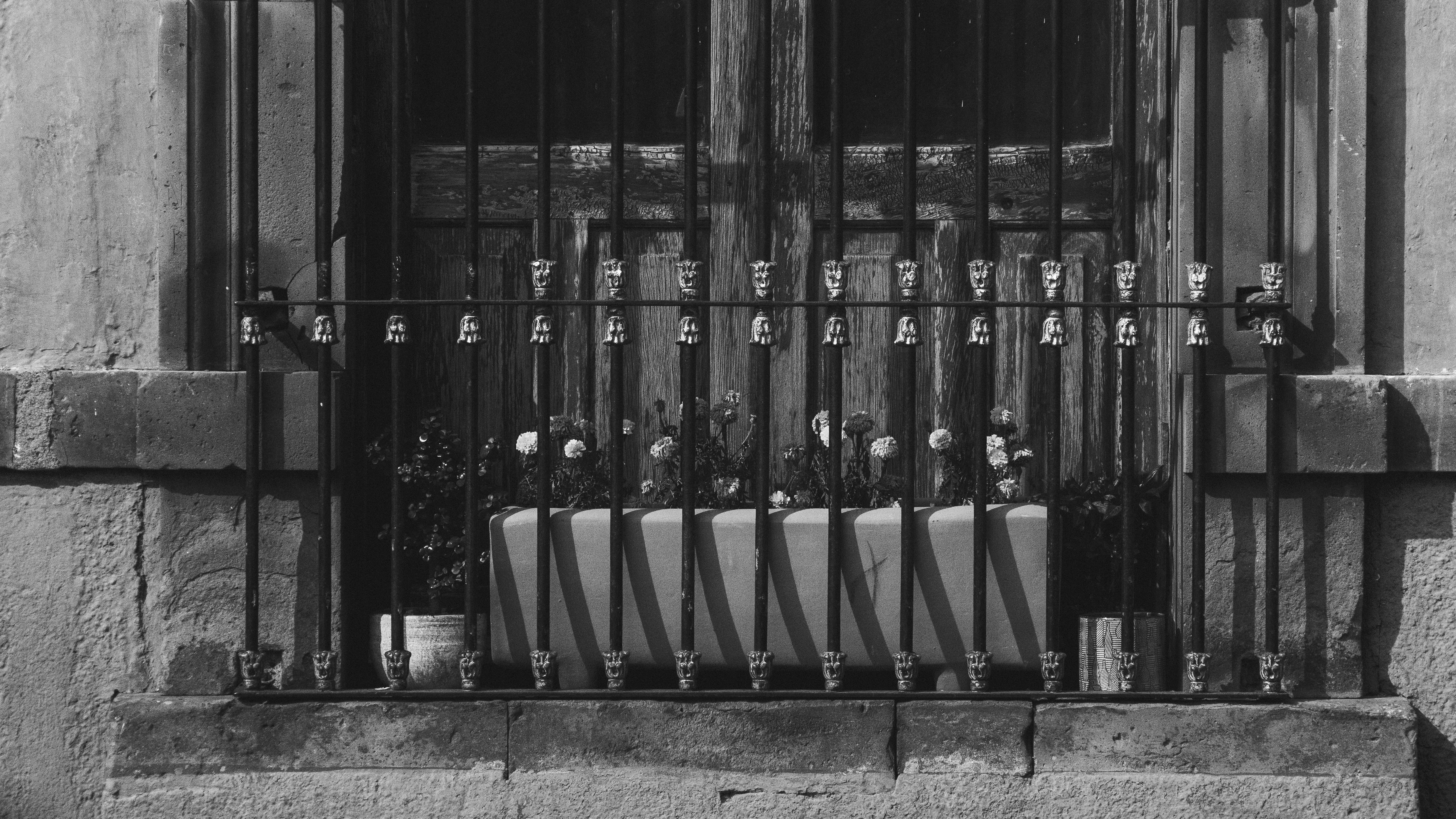 Photo by cejacityframes